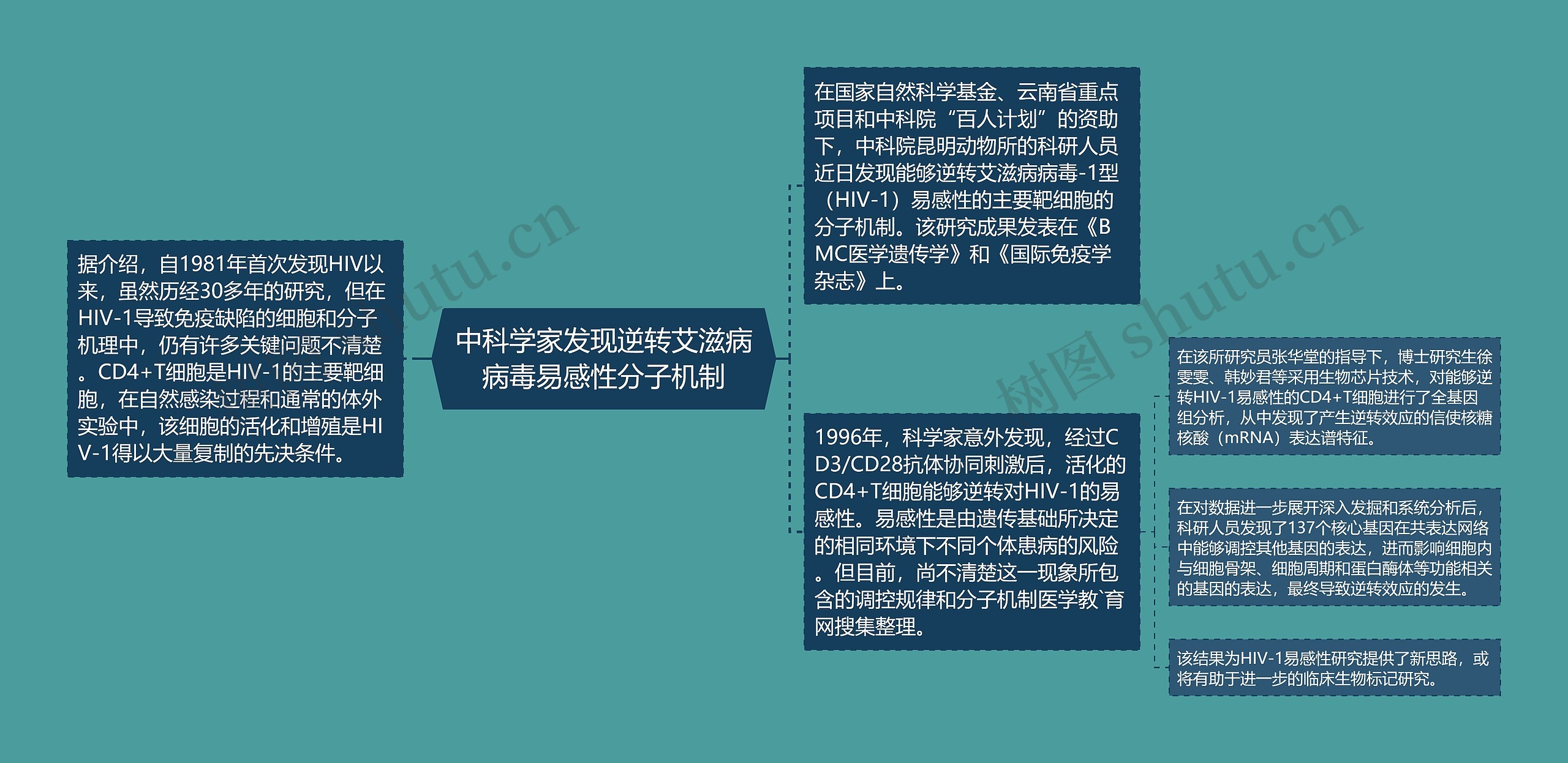 中科学家发现逆转艾滋病病毒易感性分子机制