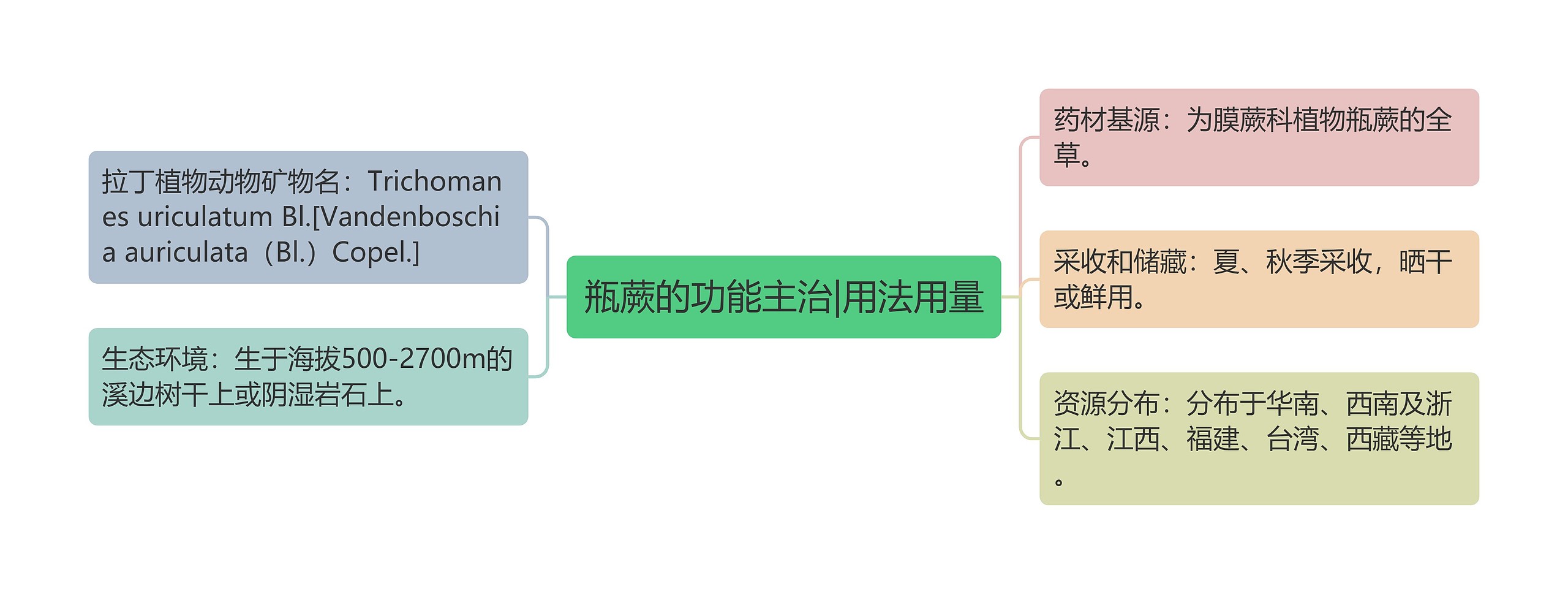 瓶蕨的功能主治|用法用量 瓶蕨的功能主治|用法用量