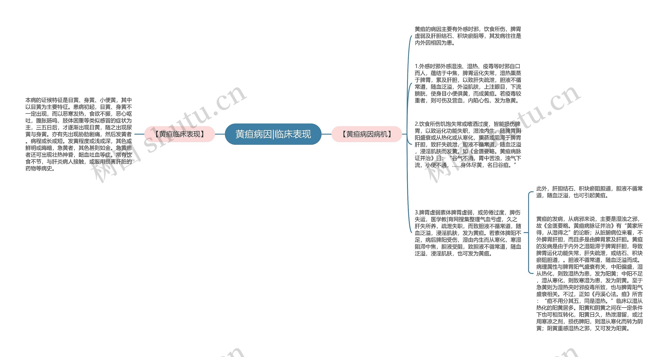 黄疸病因|临床表现思维导图