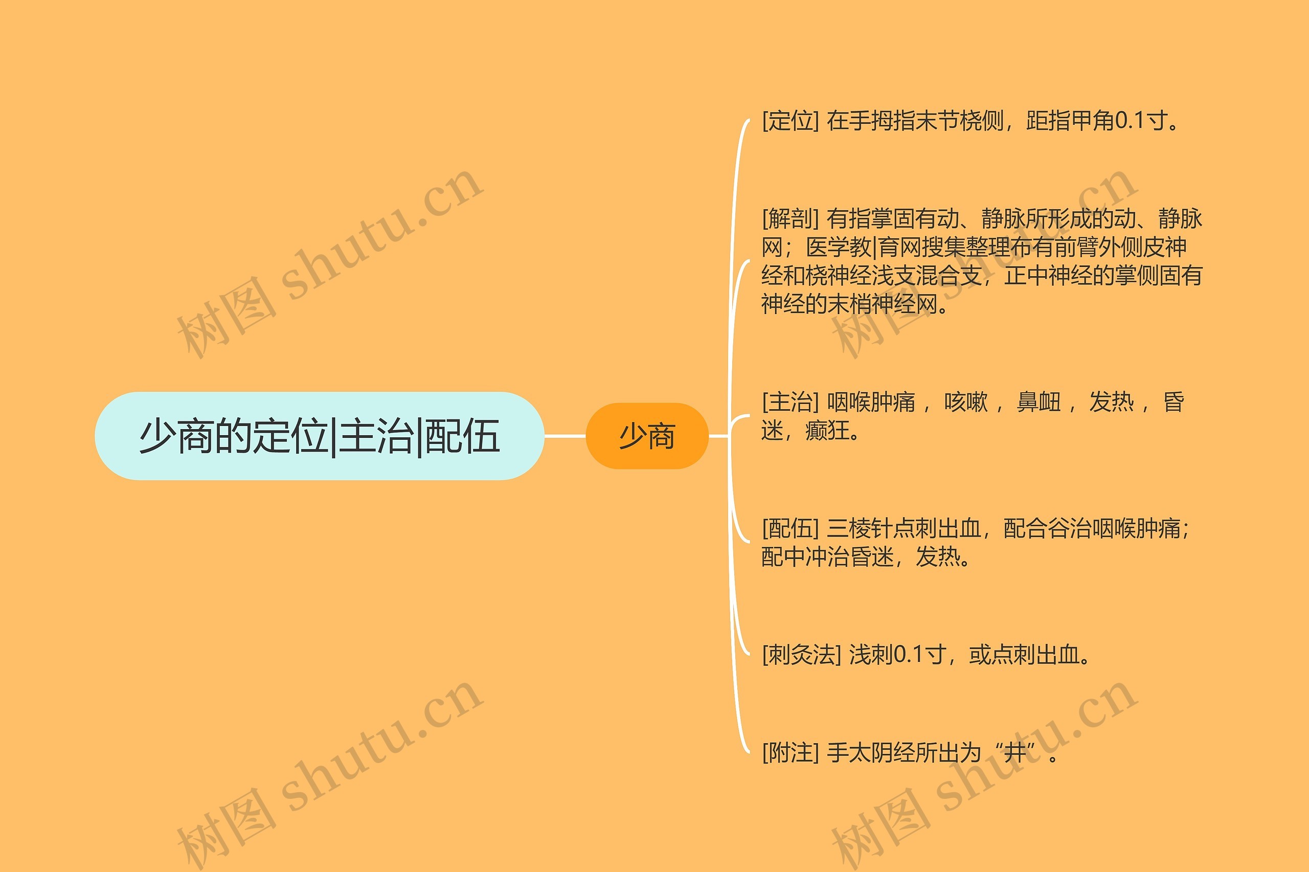 少商的定位|主治|配伍