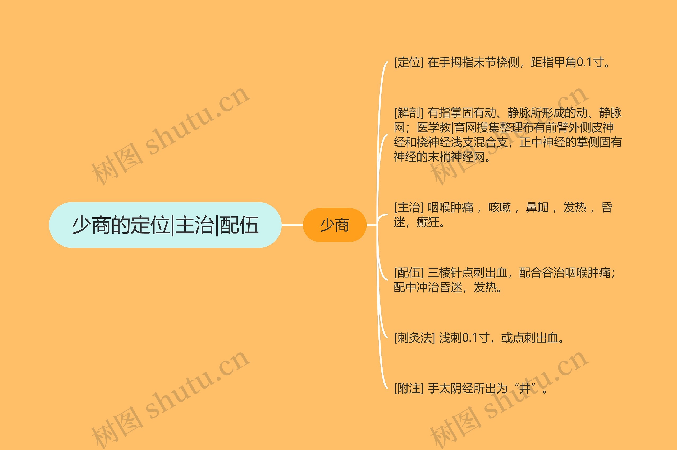 少商的定位|主治|配伍思维导图