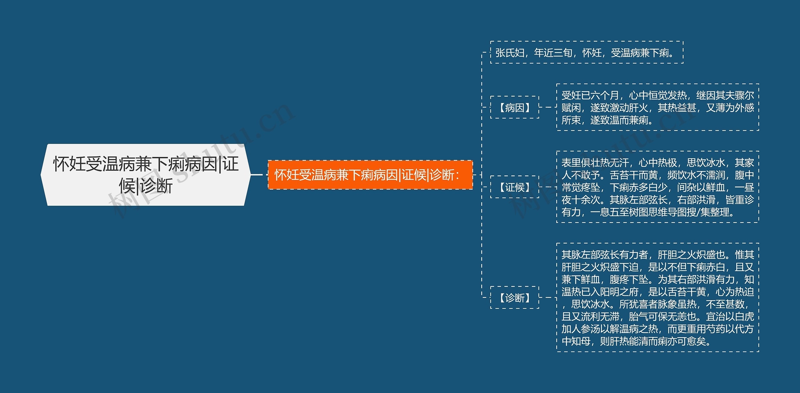 怀妊受温病兼下痢病因|证候|诊断思维导图