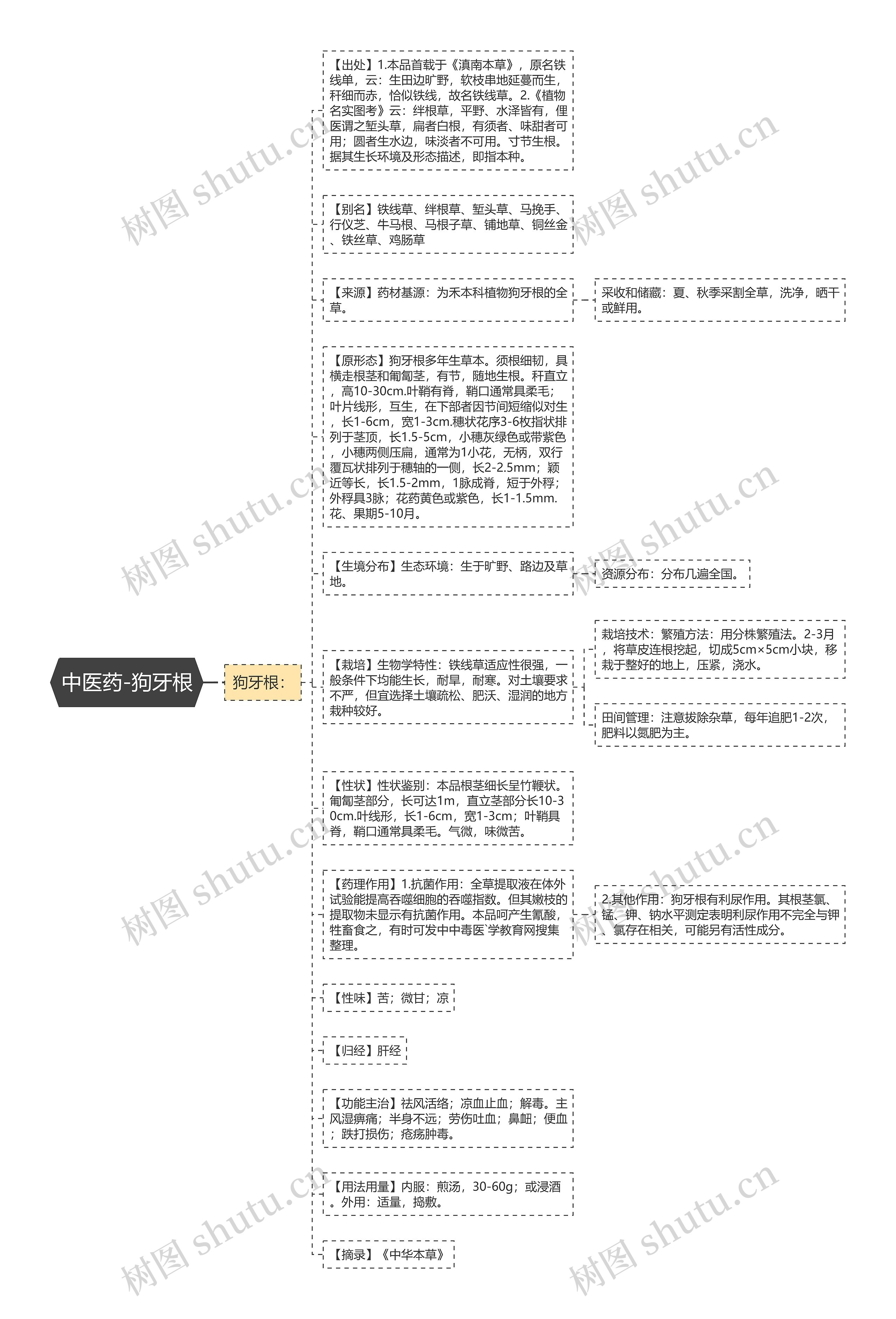 中医药-狗牙根思维导图