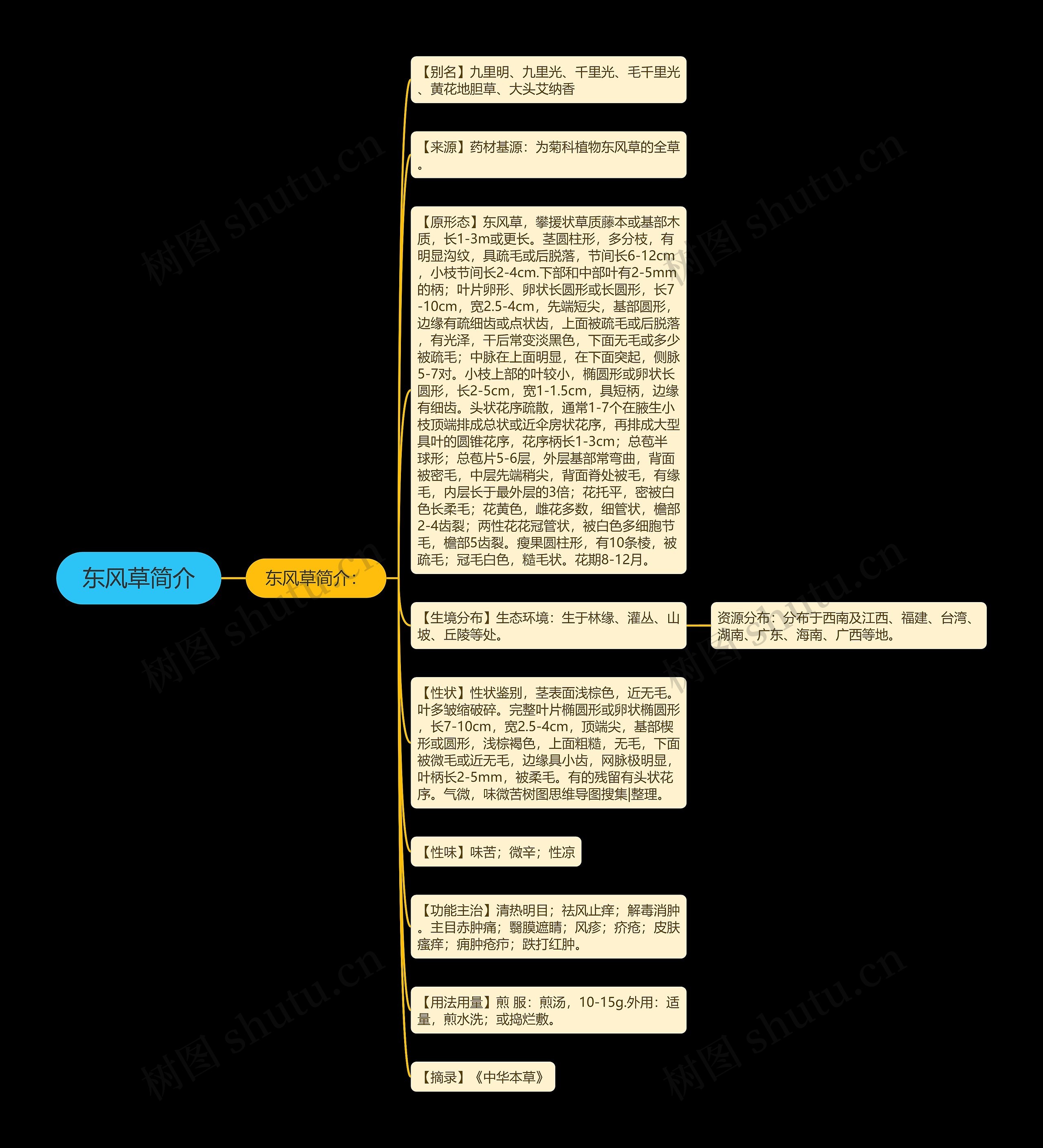 东风草简介思维导图