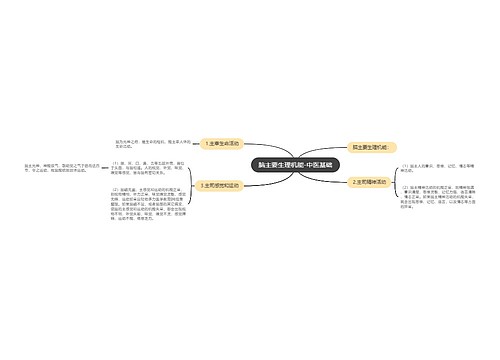脑主要生理机能-中医基础