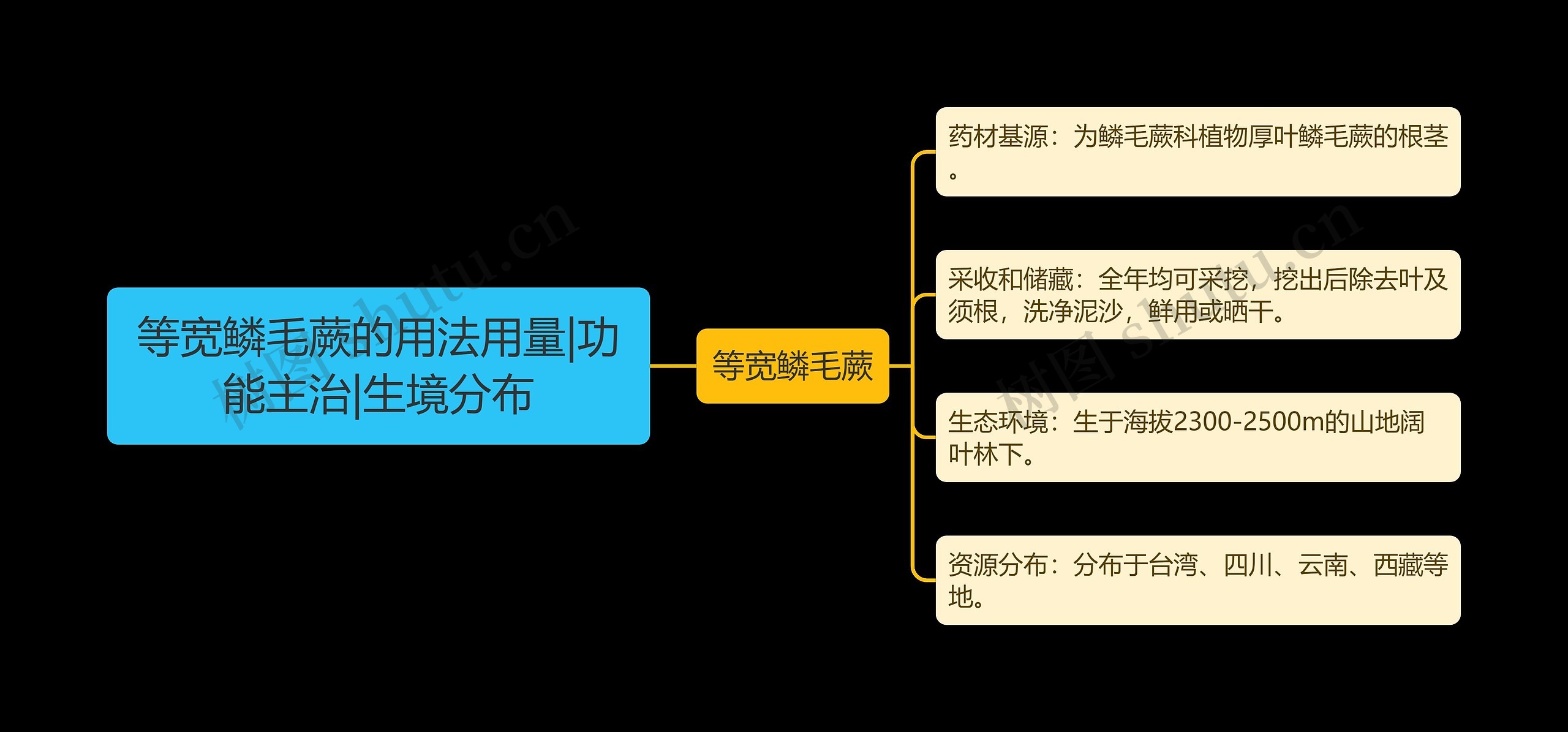 等宽鳞毛蕨的用法用量|功能主治|生境分布