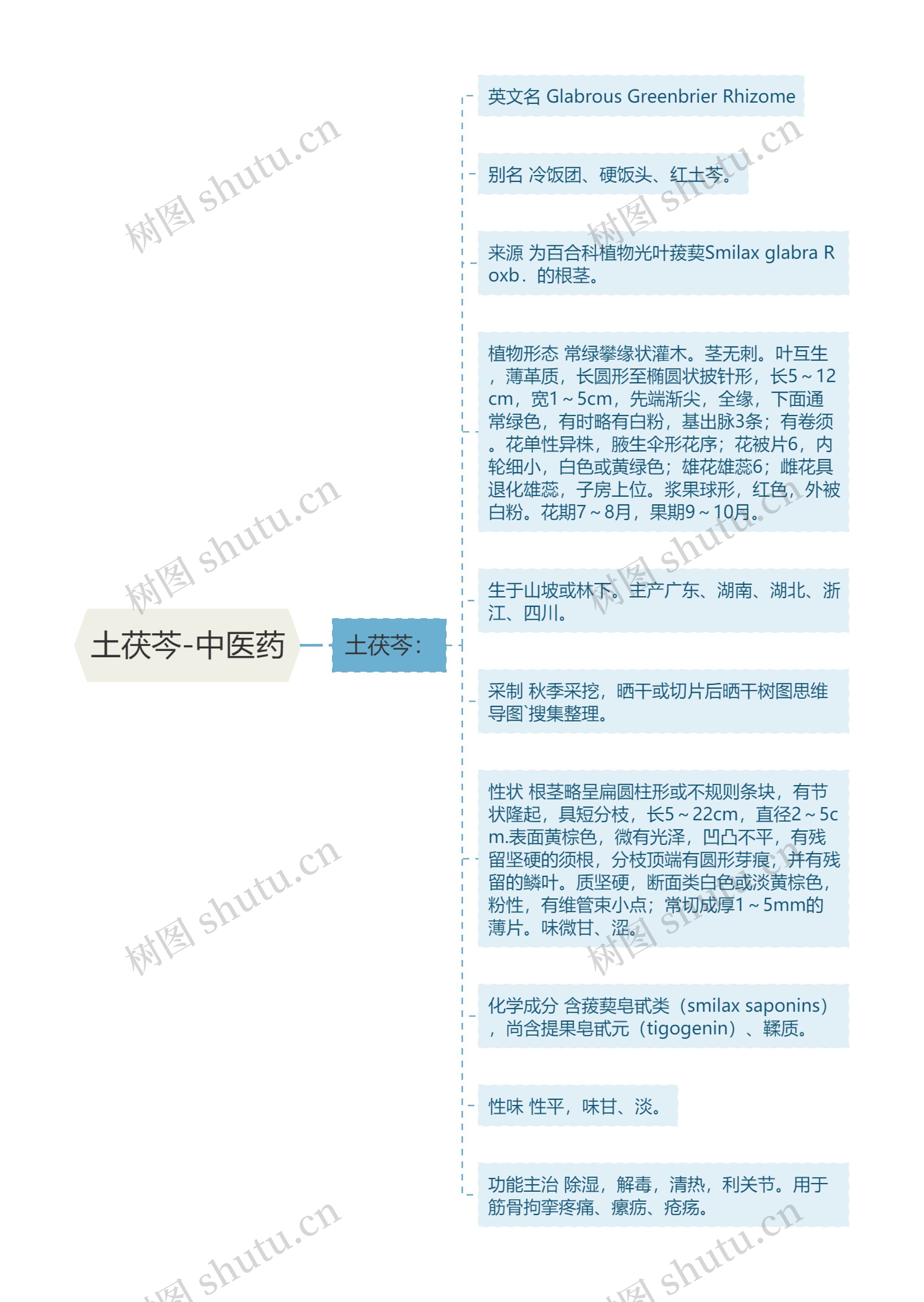 土茯芩-中医药 土茯芩-中医药