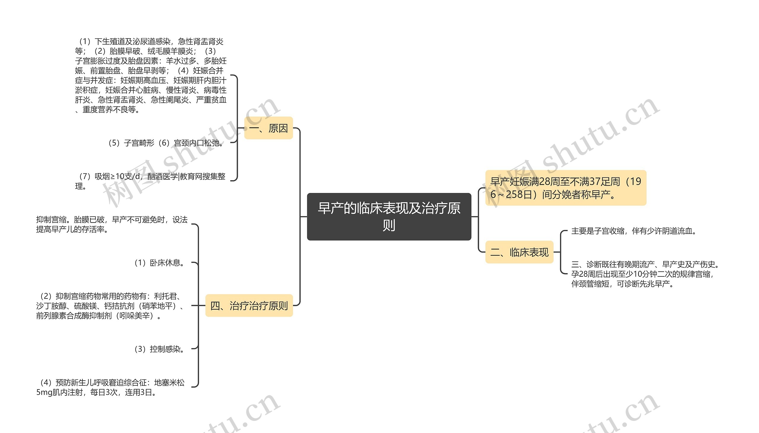 早产的临床表现及治疗原则思维导图