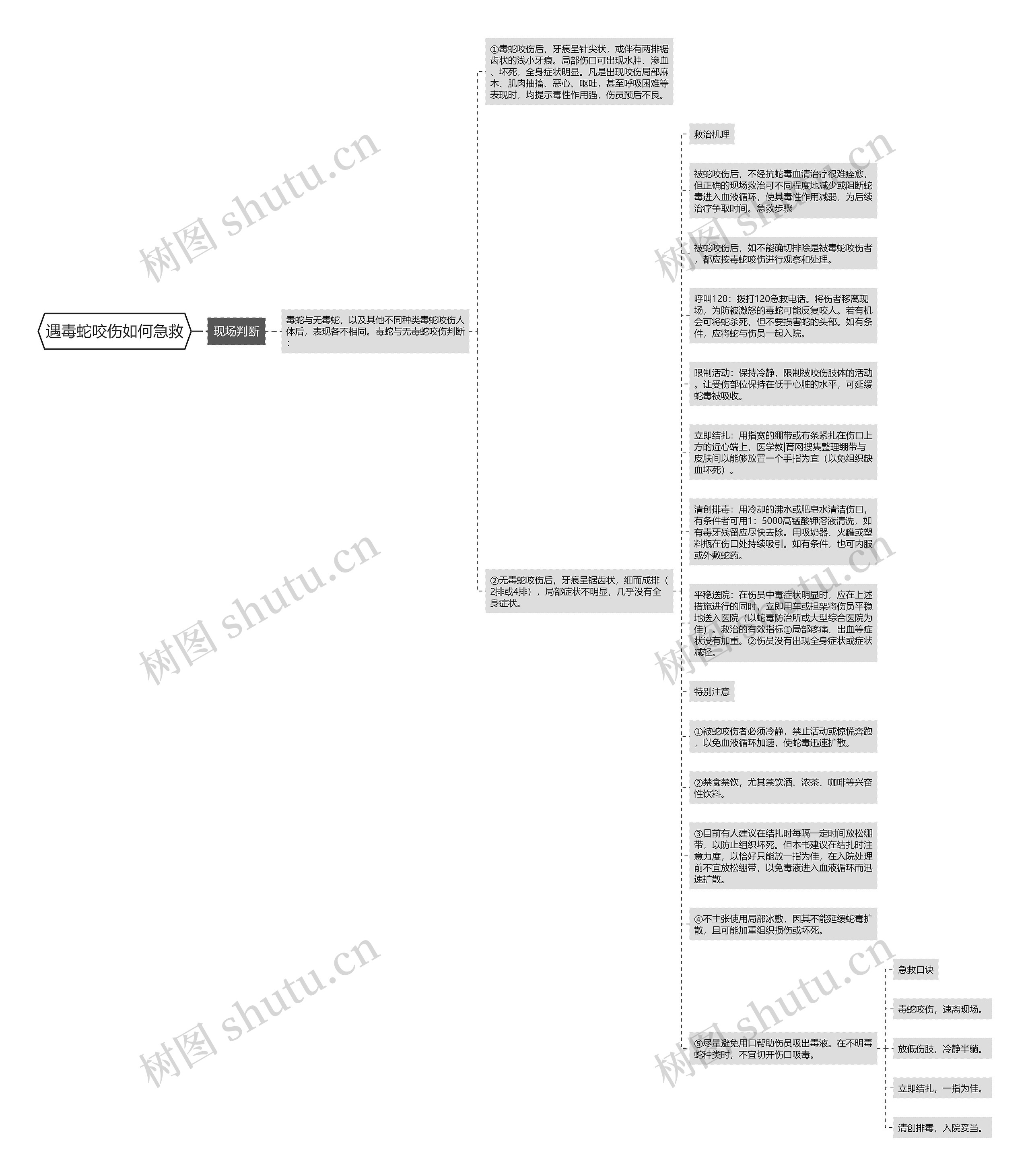 遇毒蛇咬伤如何急救思维导图