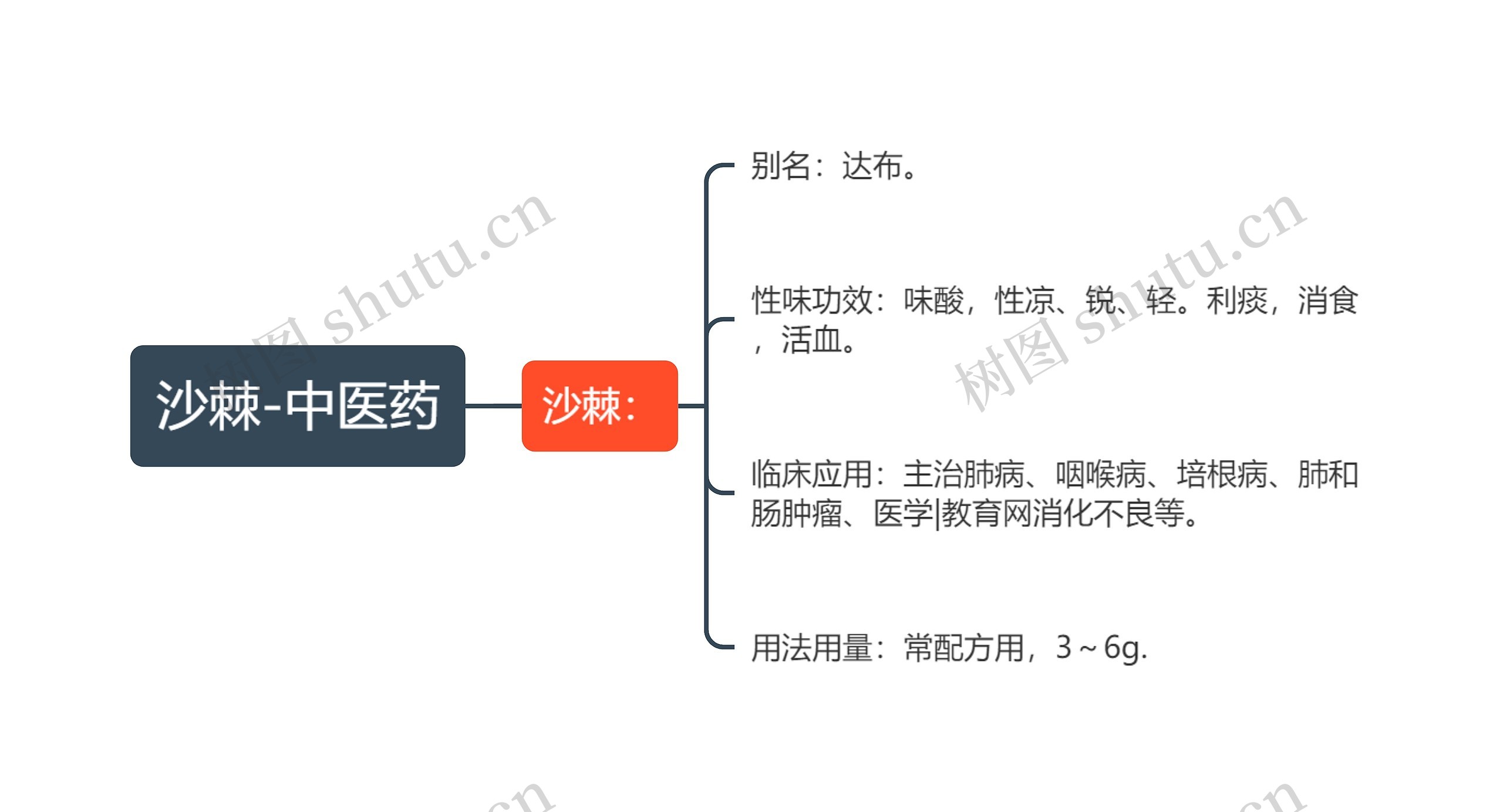 沙棘-中医药思维导图