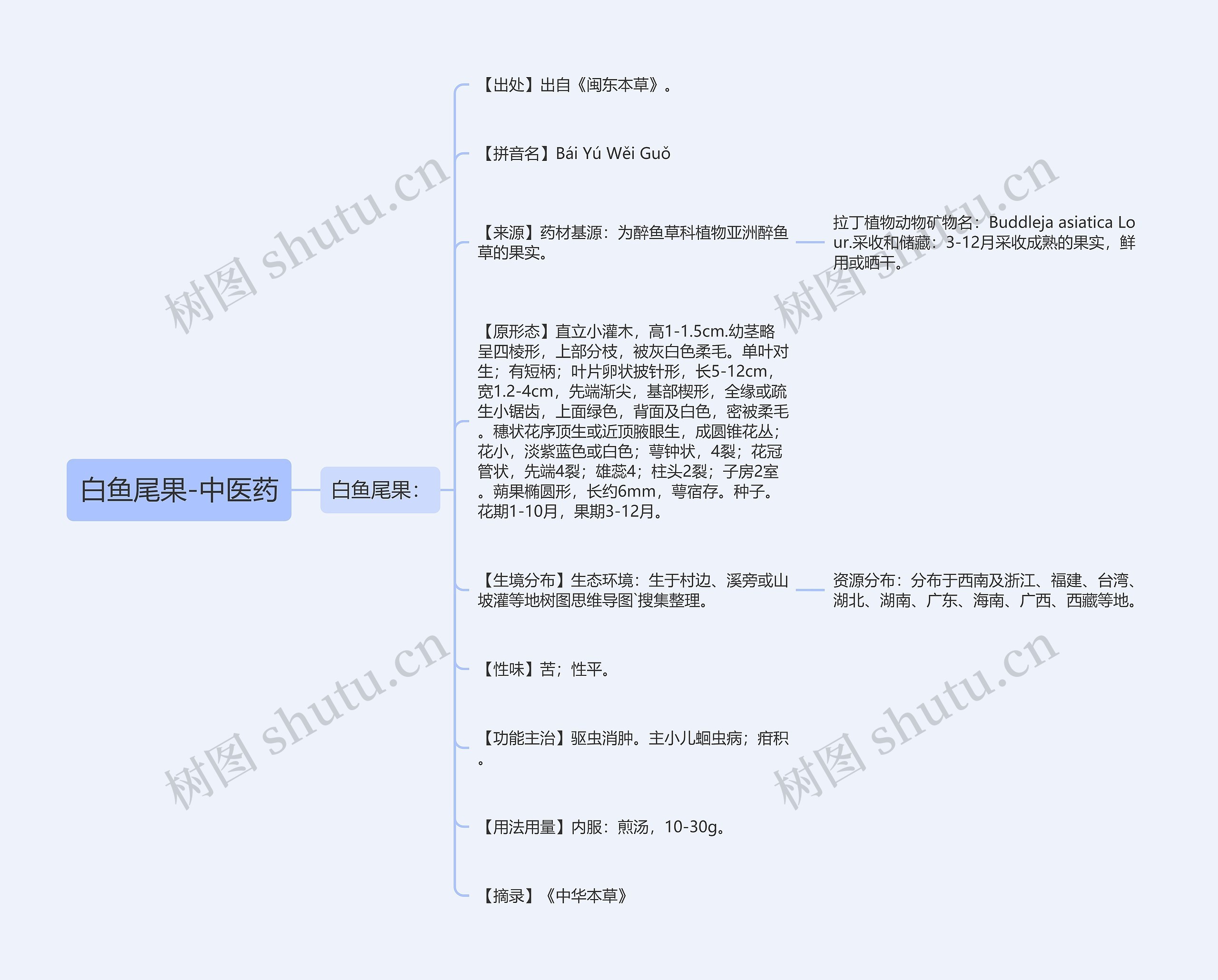 白鱼尾果-中医药 白鱼尾果-中医药