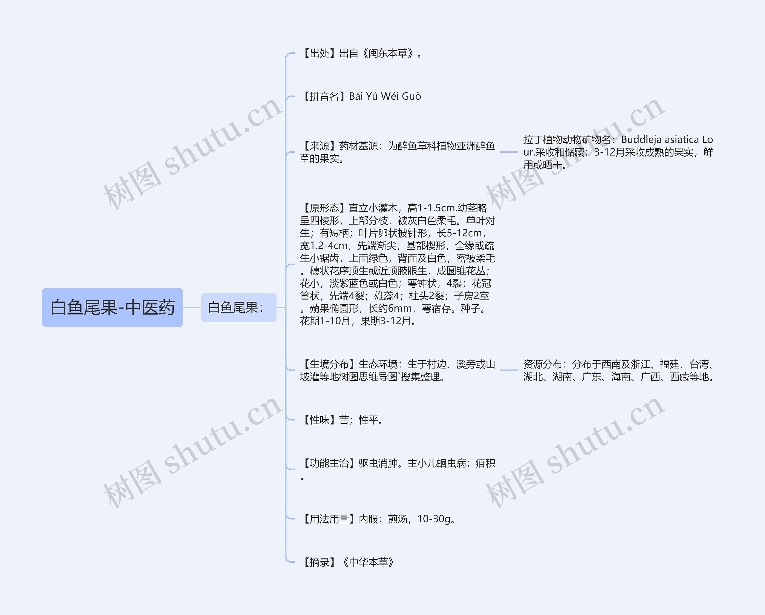 白鱼尾果-中医药思维导图