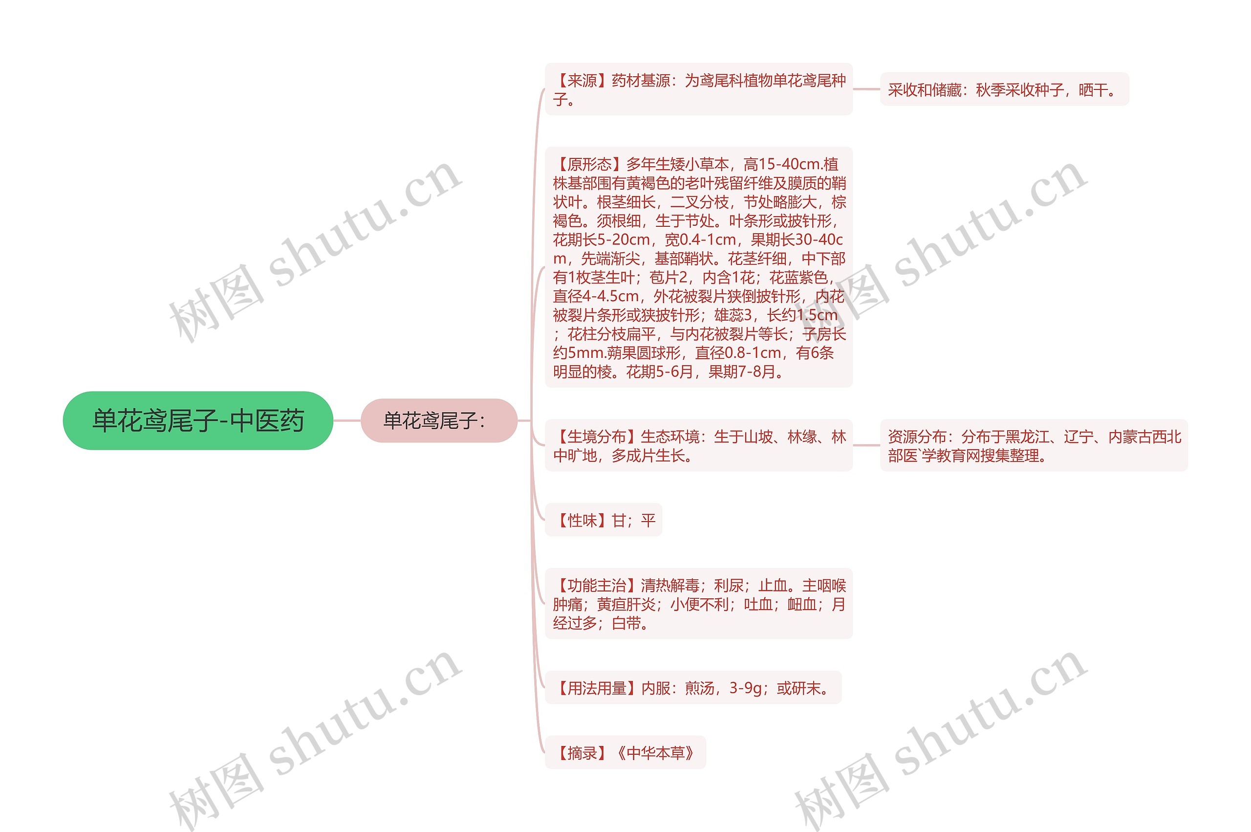 单花鸢尾子-中医药思维导图