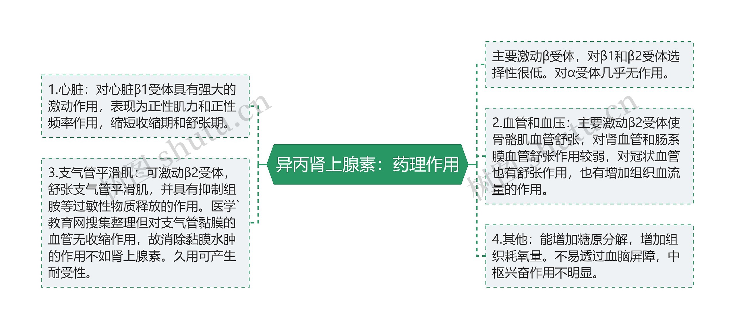 异丙肾上腺素：药理作用思维导图