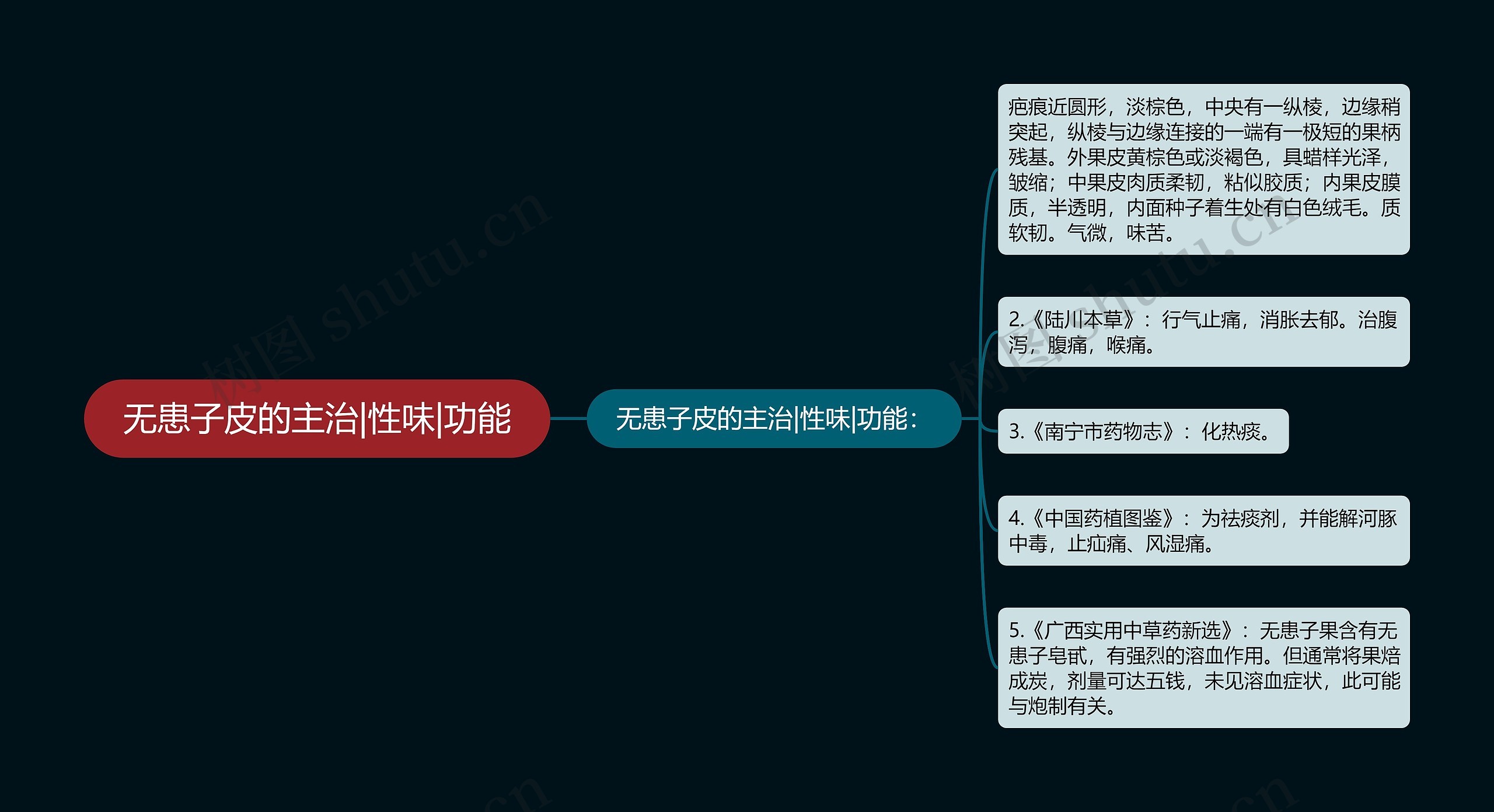 无患子皮的主治|性味|功能思维导图