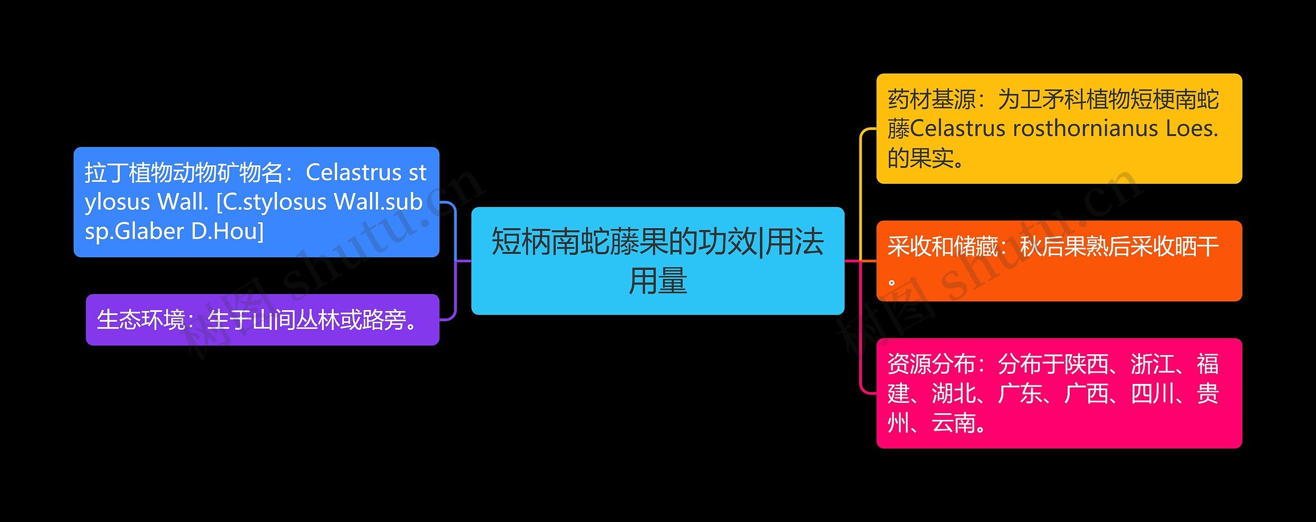 短柄南蛇藤果的功效|用法用量