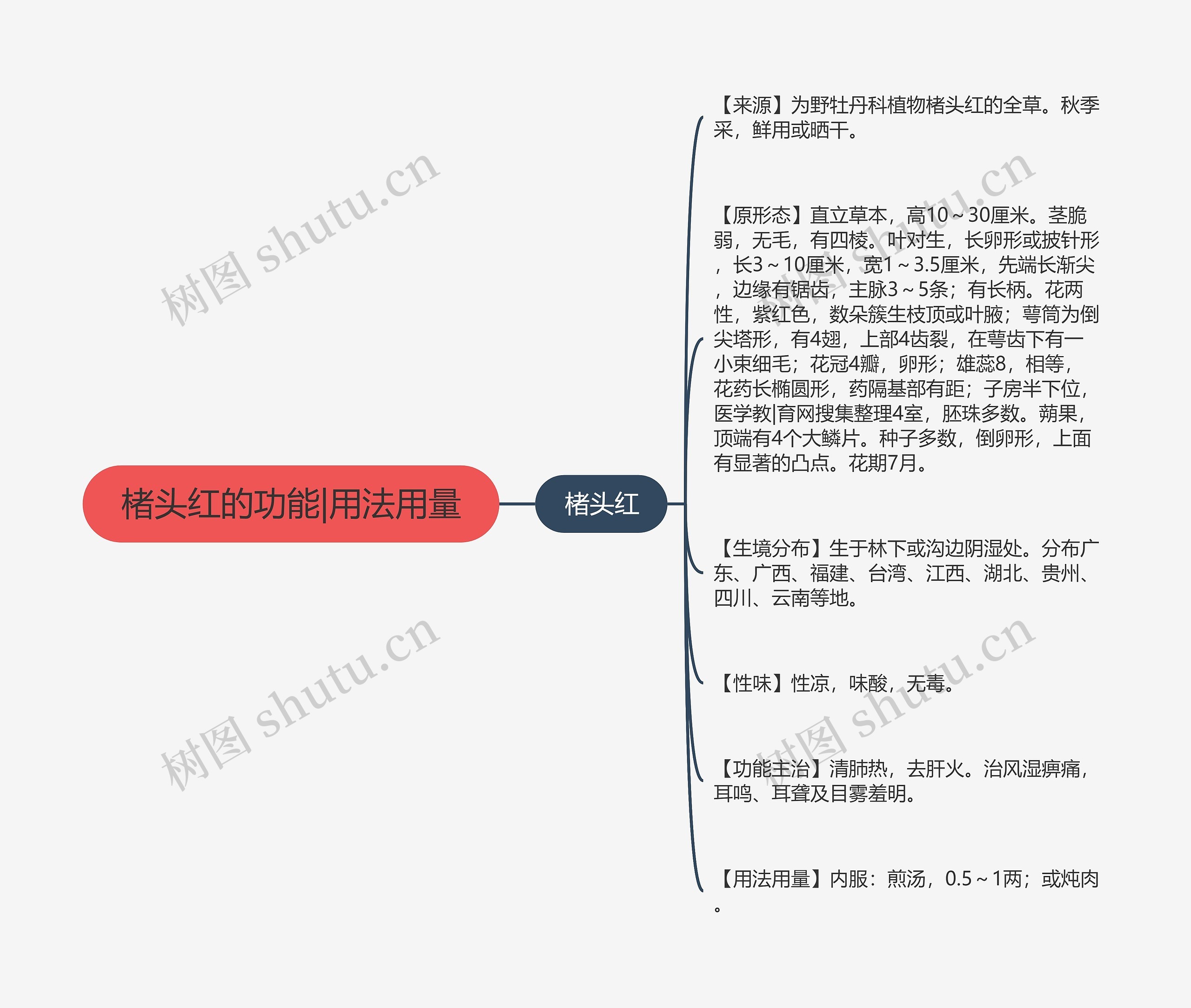 楮头红的功能|用法用量思维导图