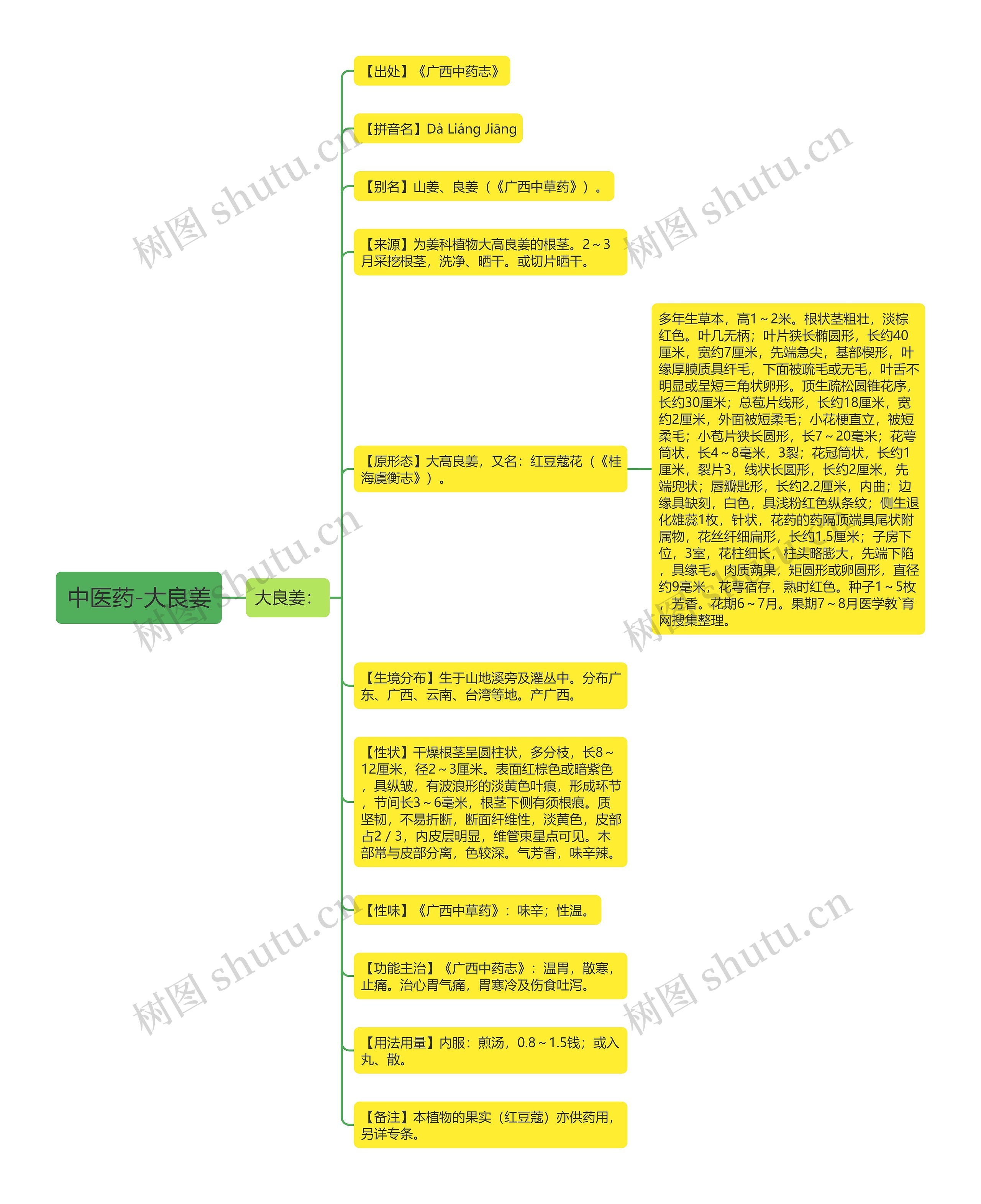 中医药-大良姜思维导图