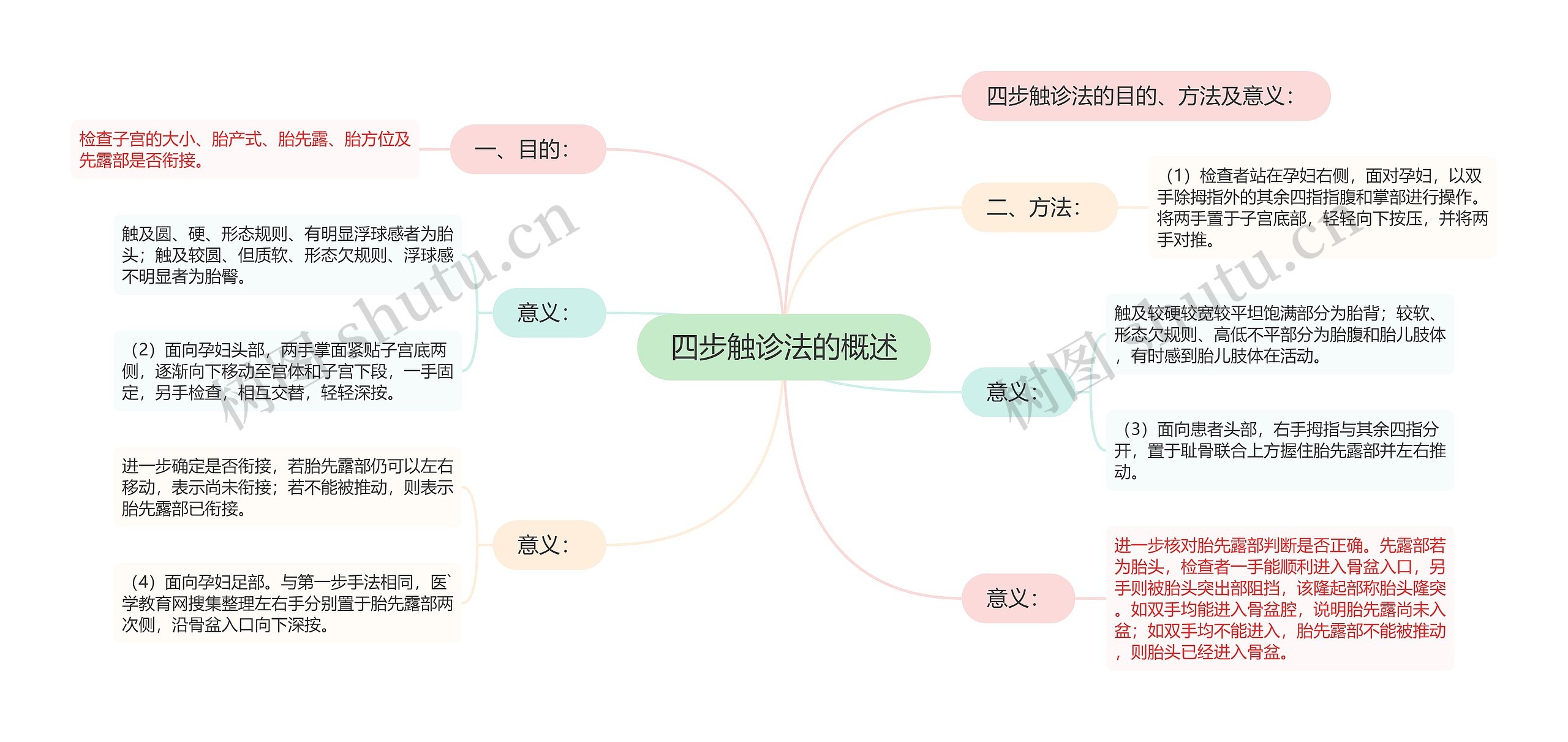 四步触诊法的概述思维导图