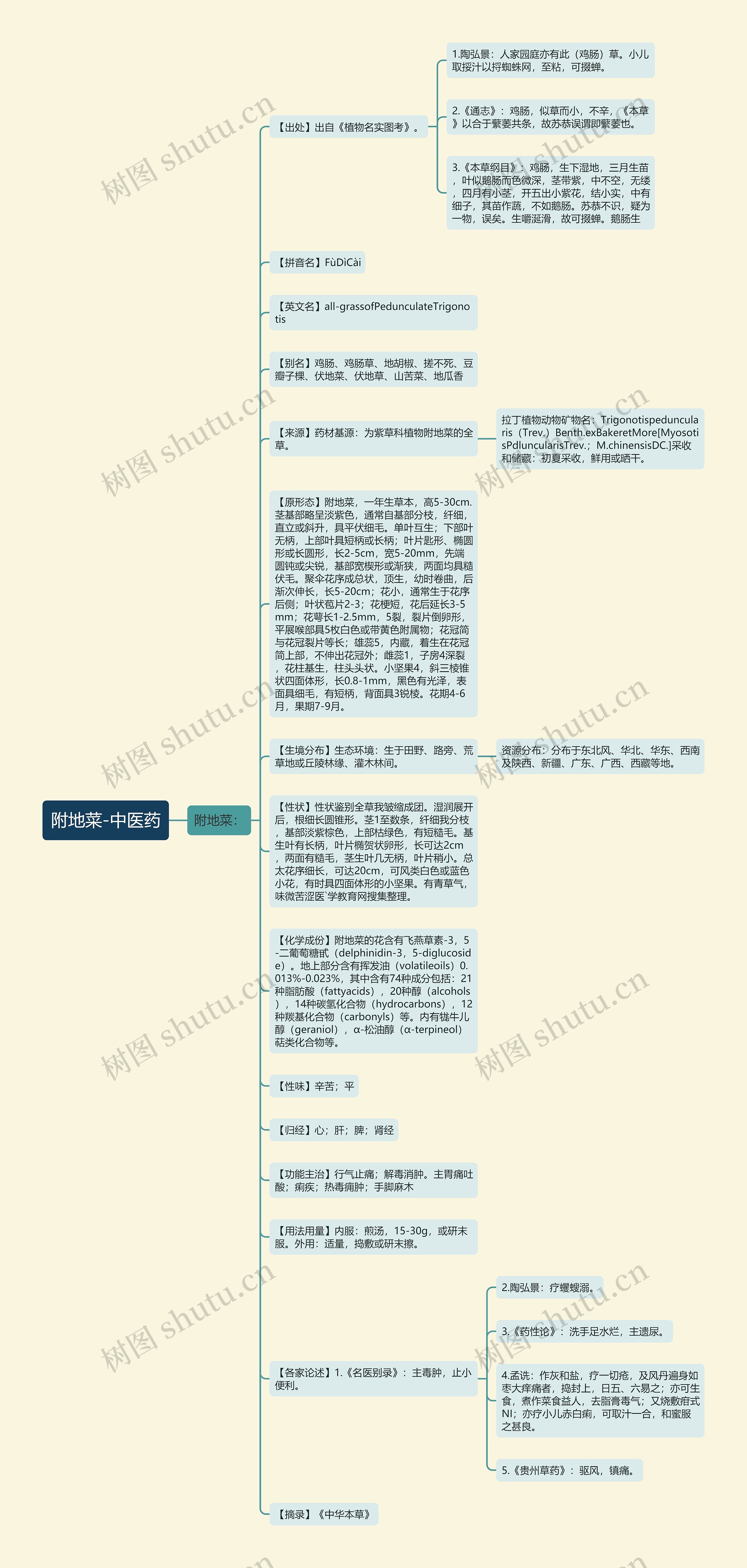 附地菜-中医药思维导图