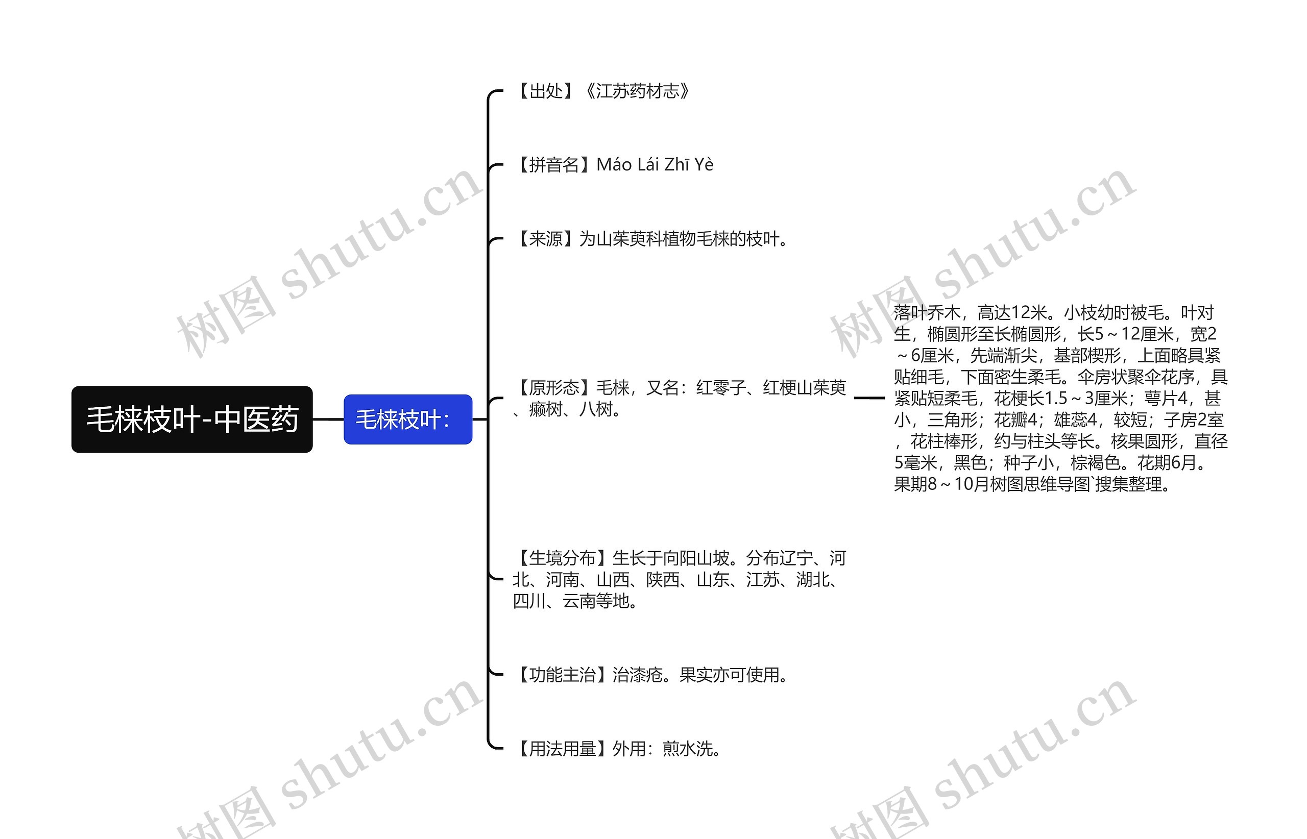 毛梾枝叶-中医药思维导图