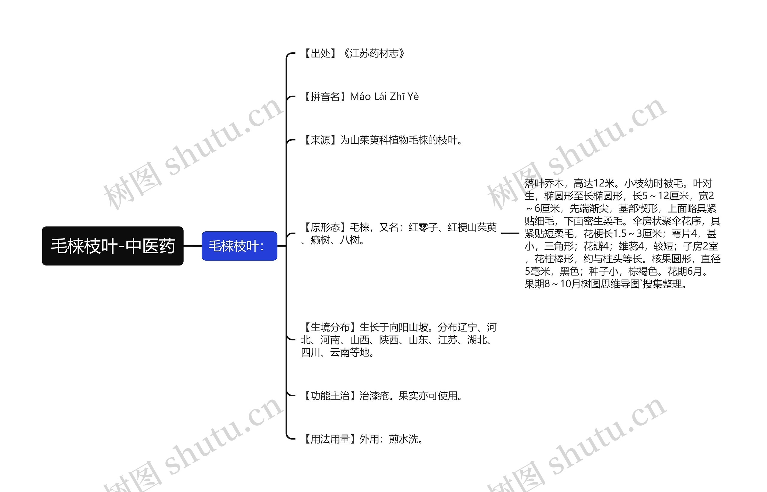 毛梾枝叶-中医药 毛梾枝叶-中医药