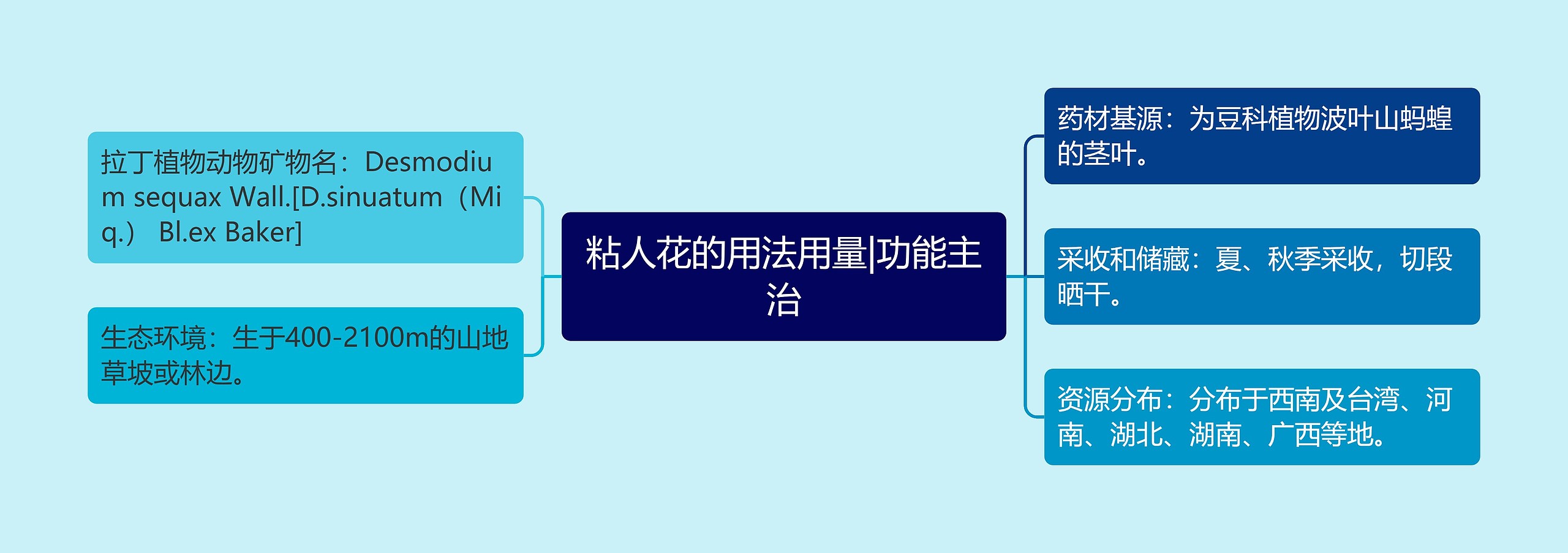 粘人花的用法用量|功能主治 粘人花的用法用量|功能主治
