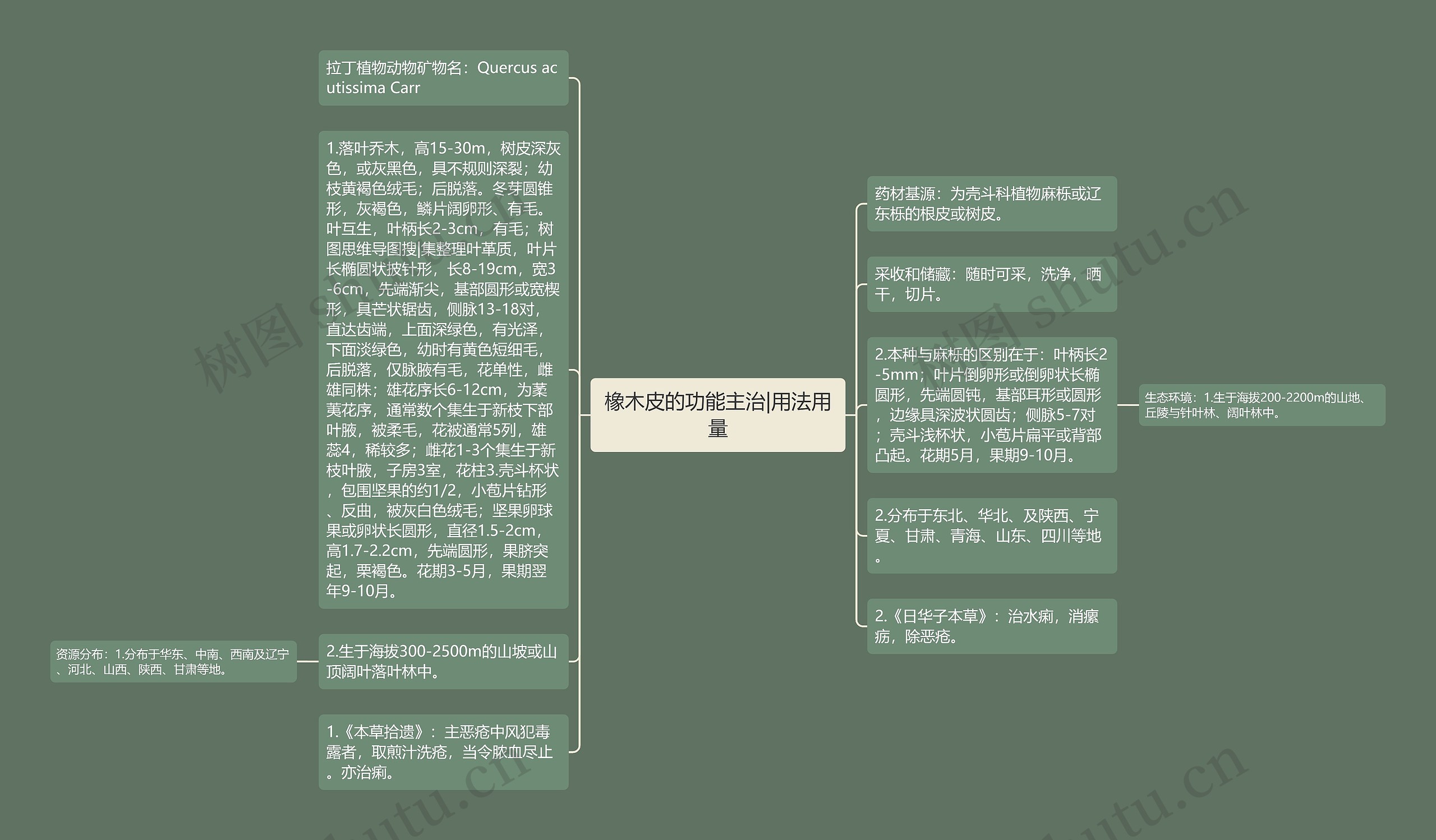 橡木皮的功能主治|用法用量