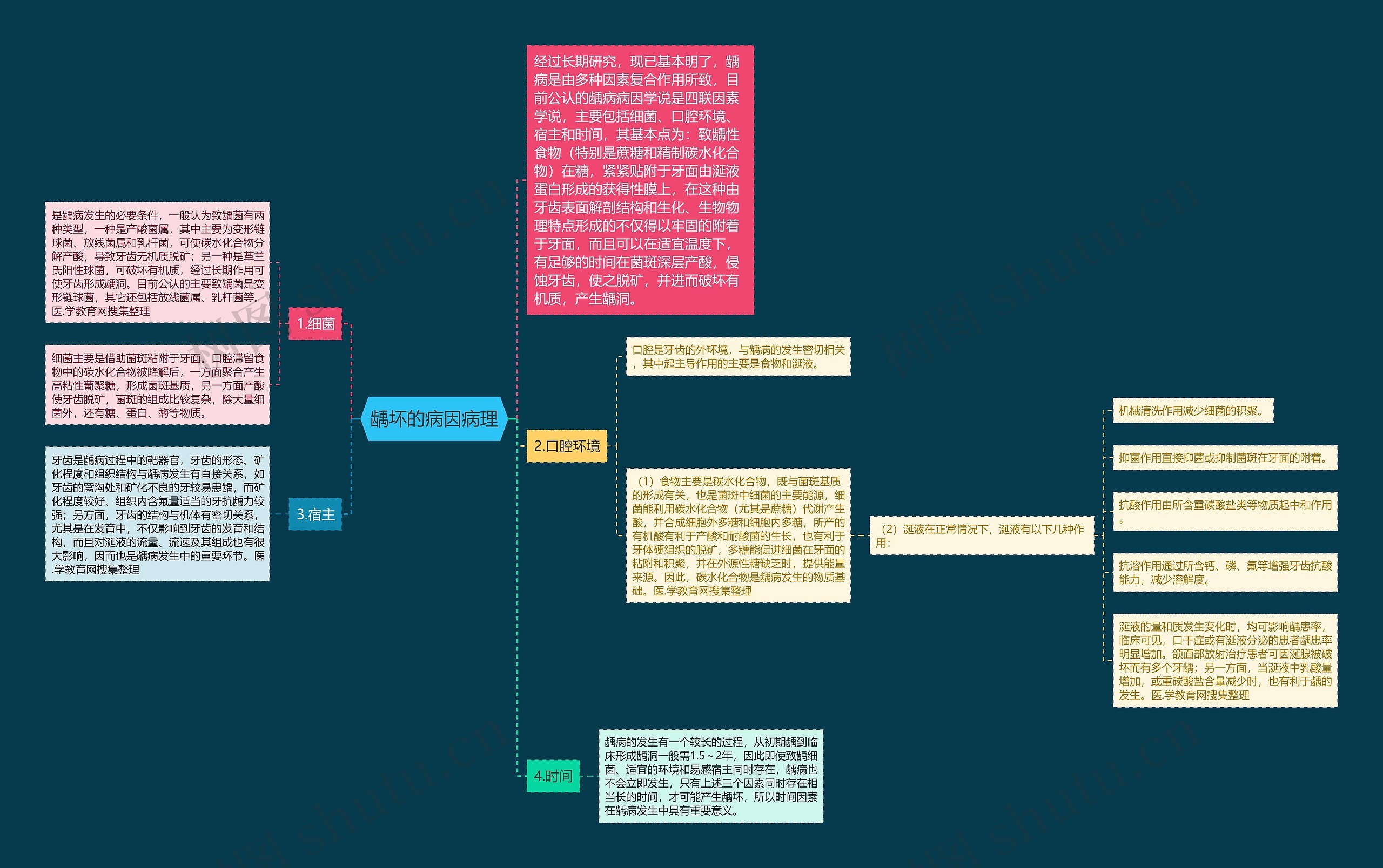 龋坏的病因病理 龋坏的病因病理