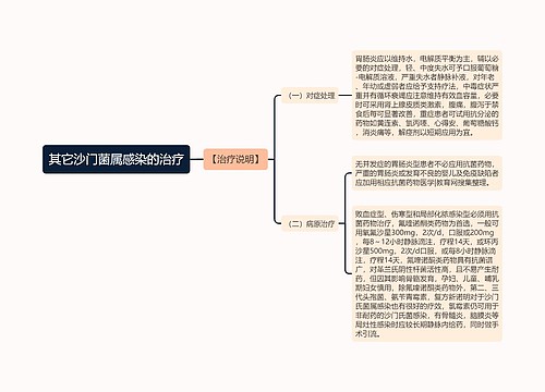 其它沙门菌属感染的治疗