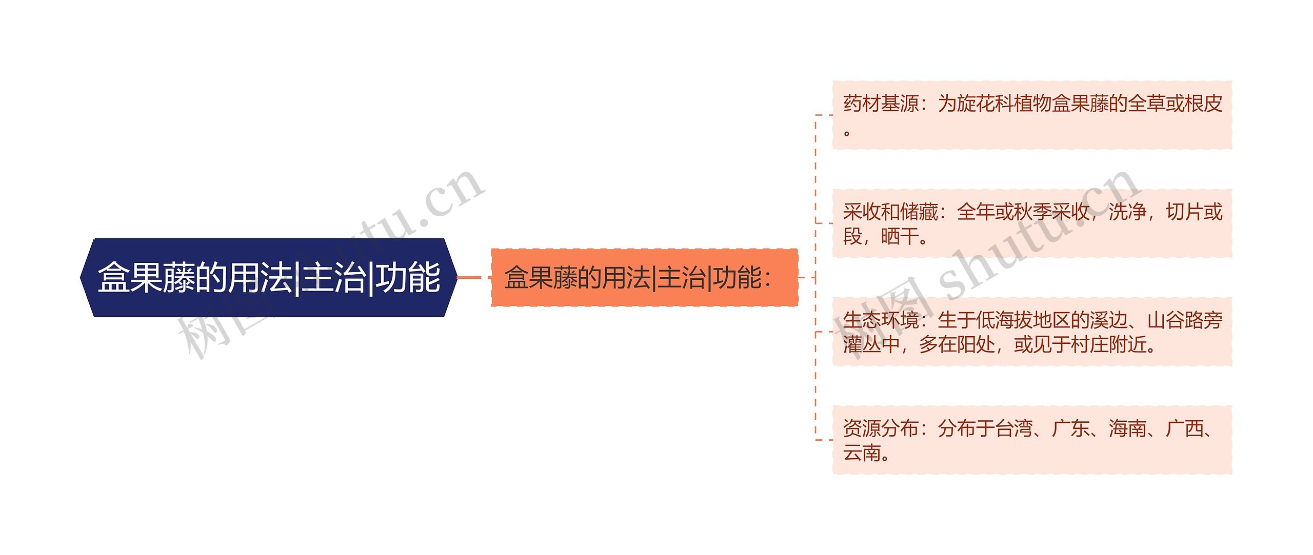 盒果藤的用法|主治|功能 盒果藤的用法|主治|功能