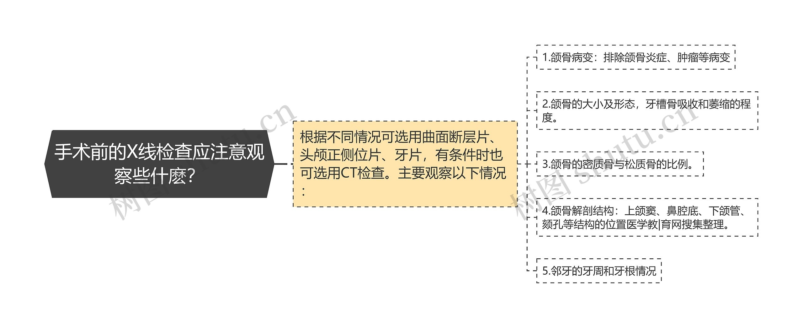 手术前的X线检查应注意观察些什麽？思维导图