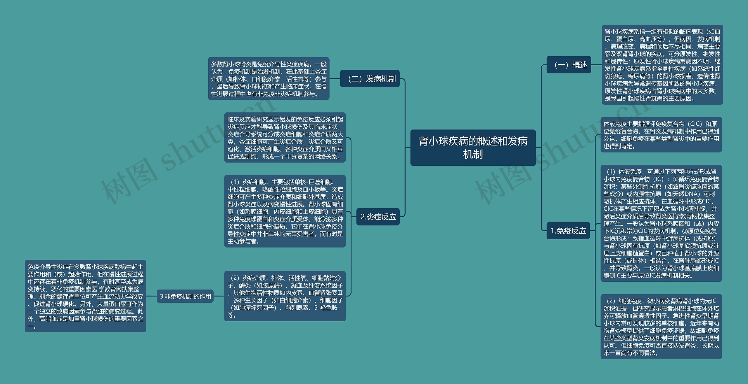 肾小球疾病的概述和发病机制