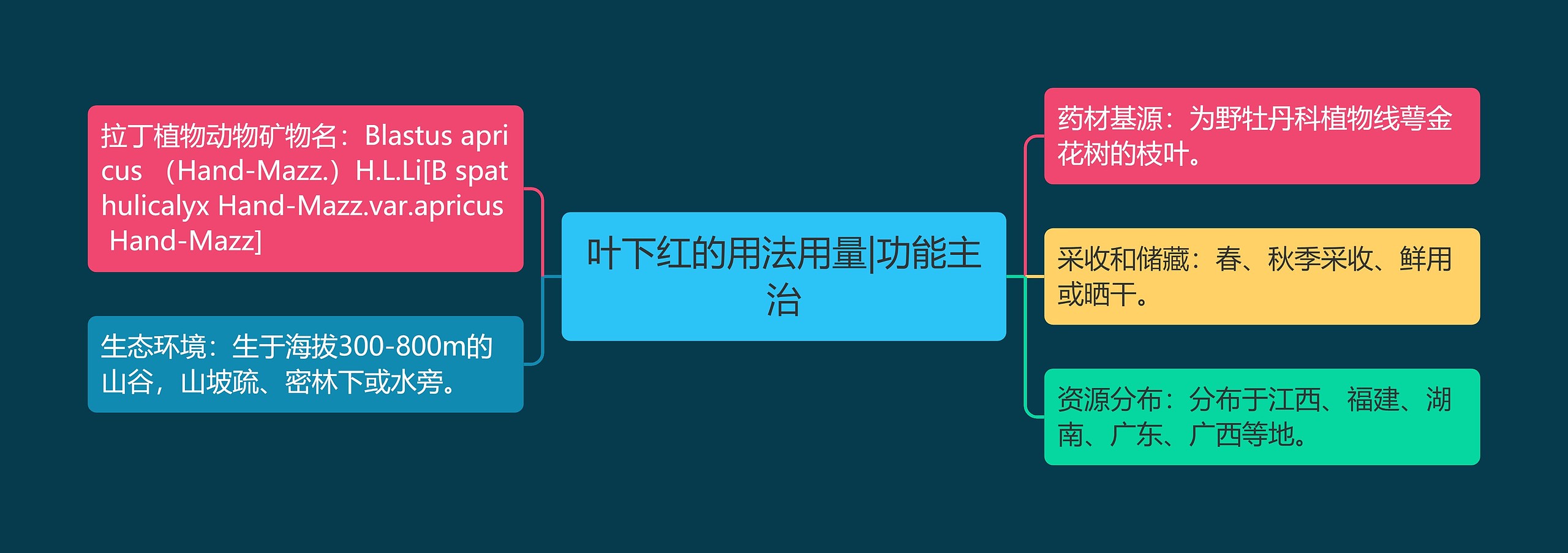 叶下红的用法用量|功能主治 叶下红的用法用量|功能主治