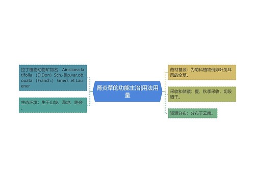 肾炎草的功能主治|用法用量