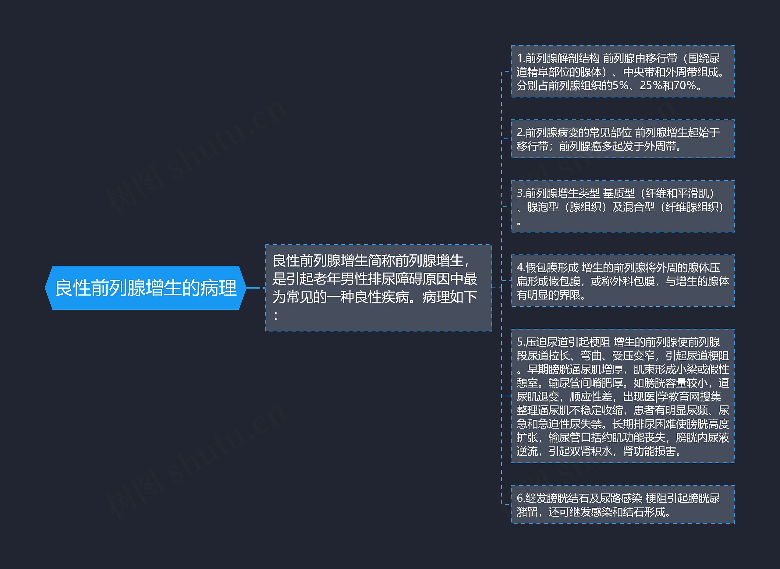 良性前列腺增生的病理思维导图