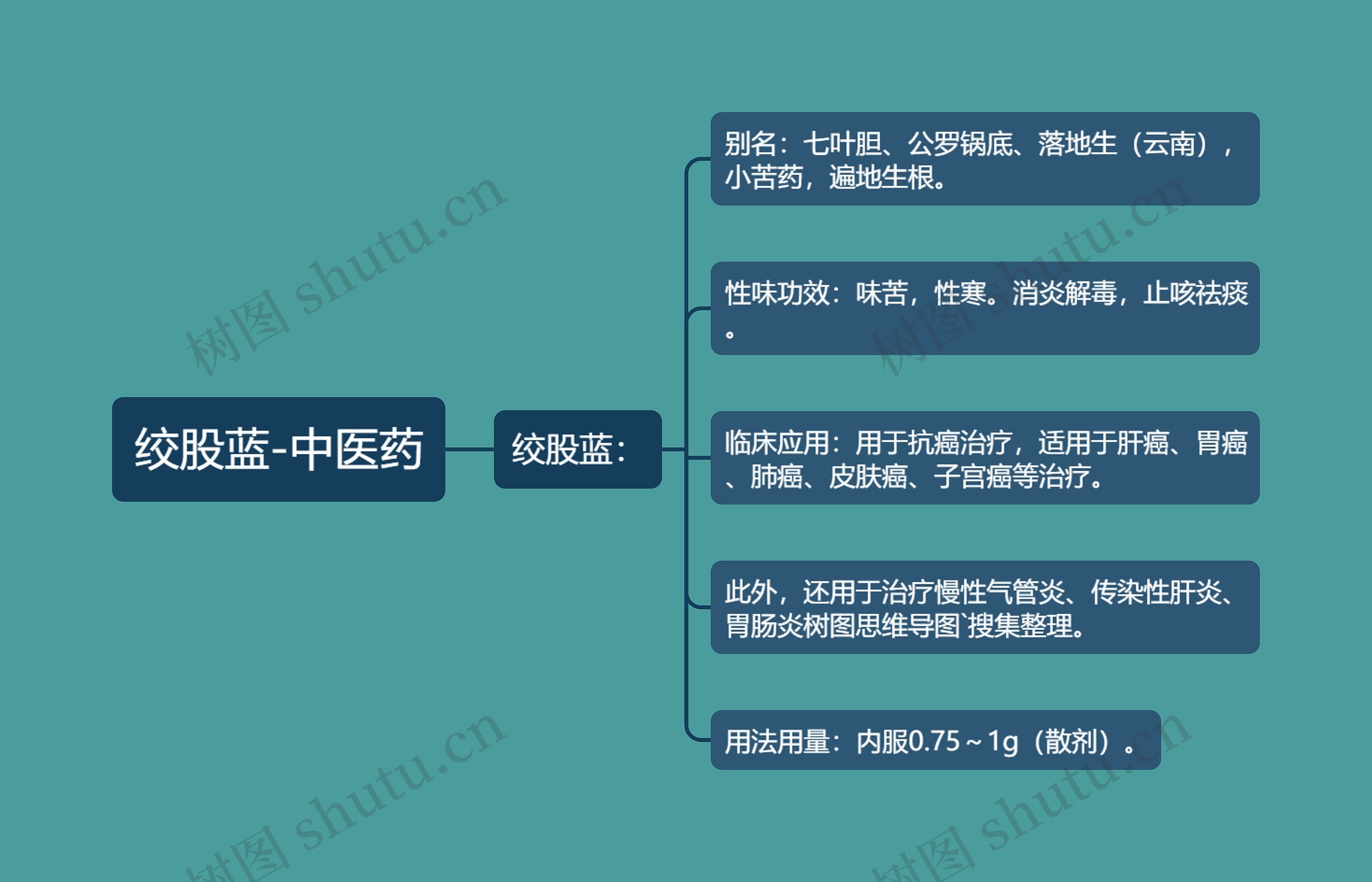 绞股蓝-中医药思维导图