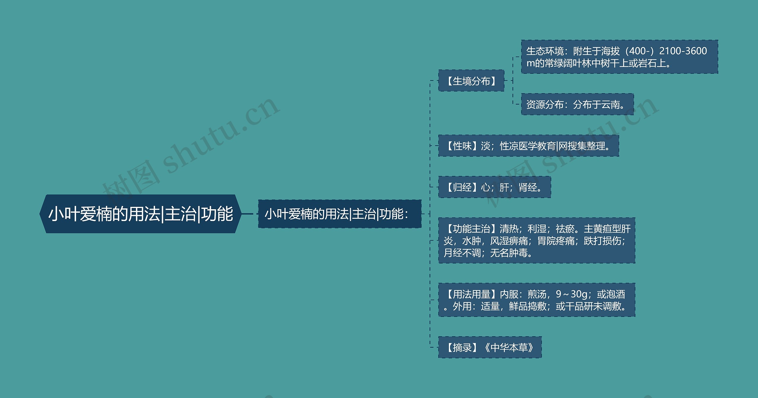 小叶爱楠的用法|主治|功能 小叶爱楠的用法|主治|功能