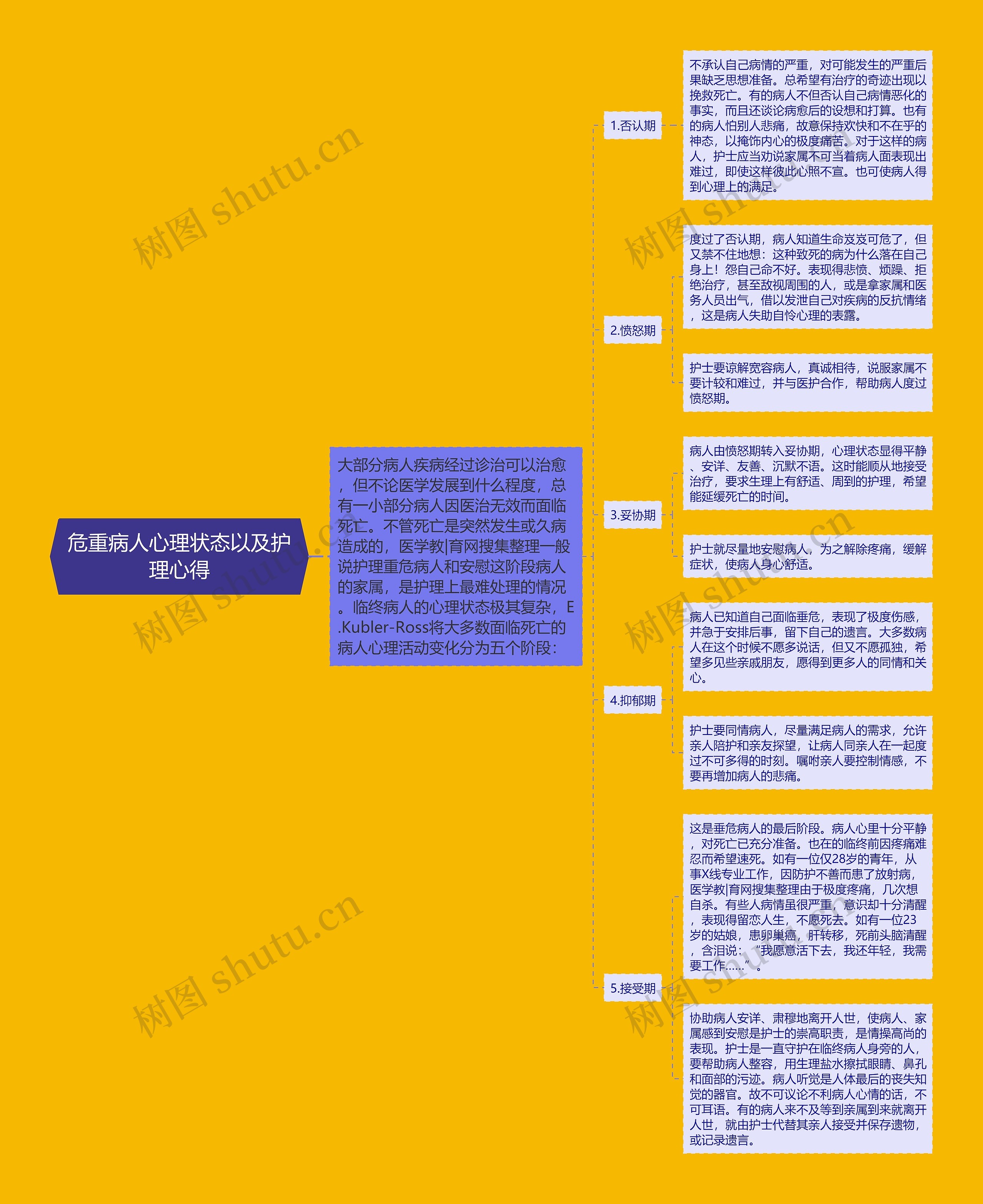 危重病人心理状态以及护理心得思维导图