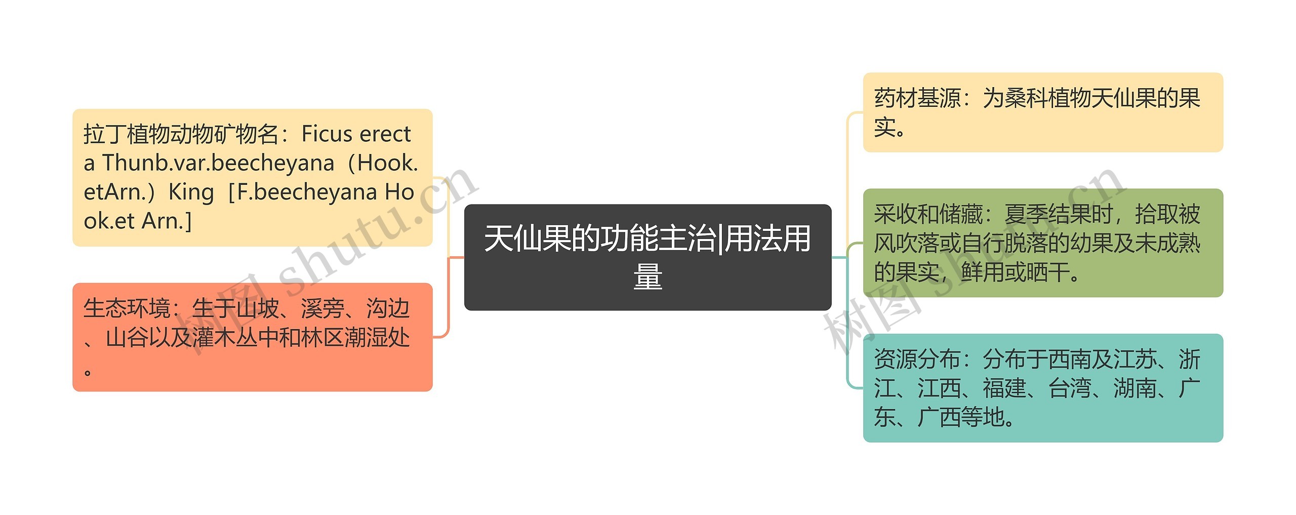 天仙果的功能主治|用法用量