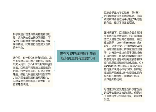 研究发现巨噬细胞对肌肉组织再生具有重要作用