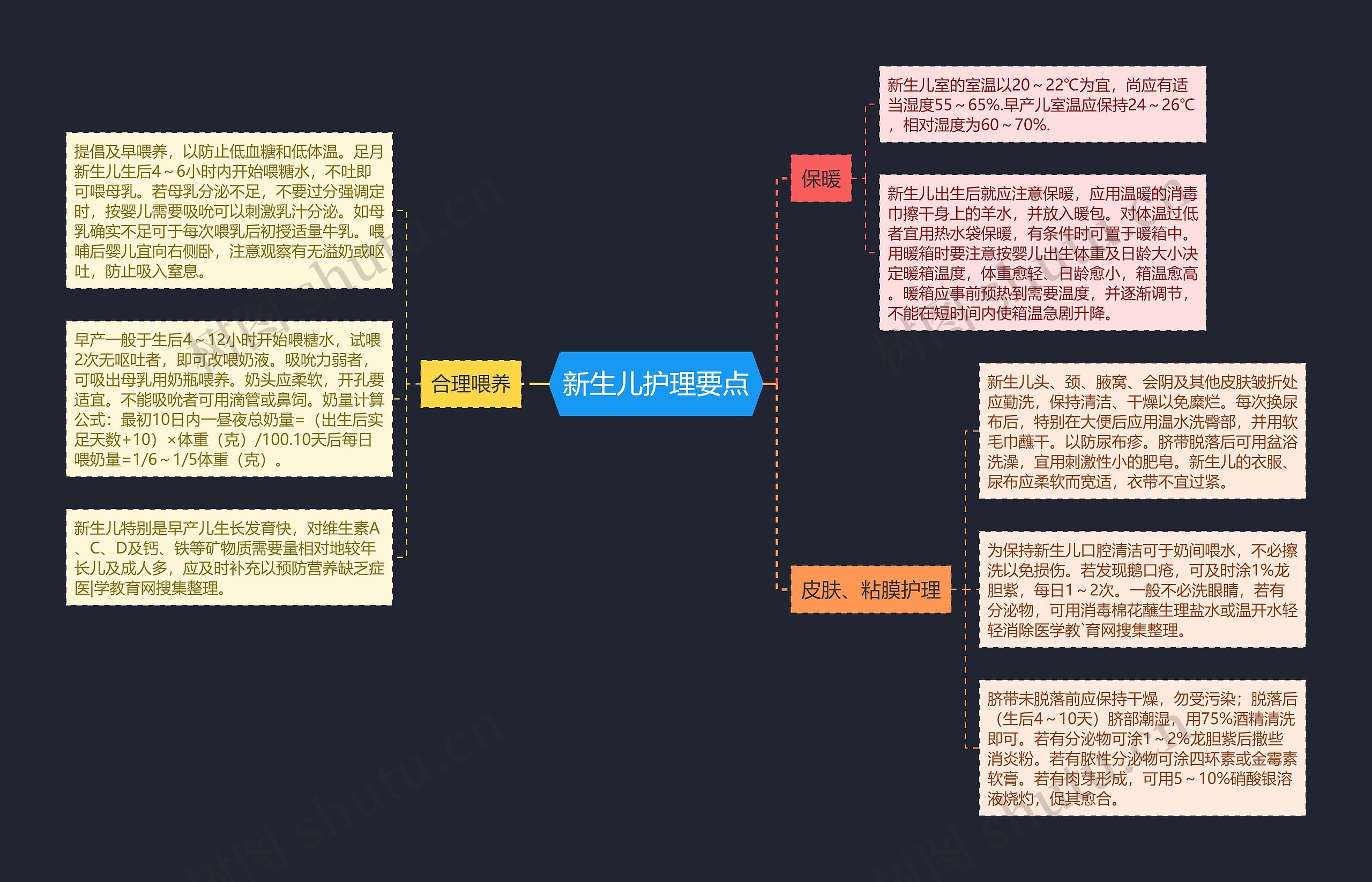 新生儿护理要点思维导图