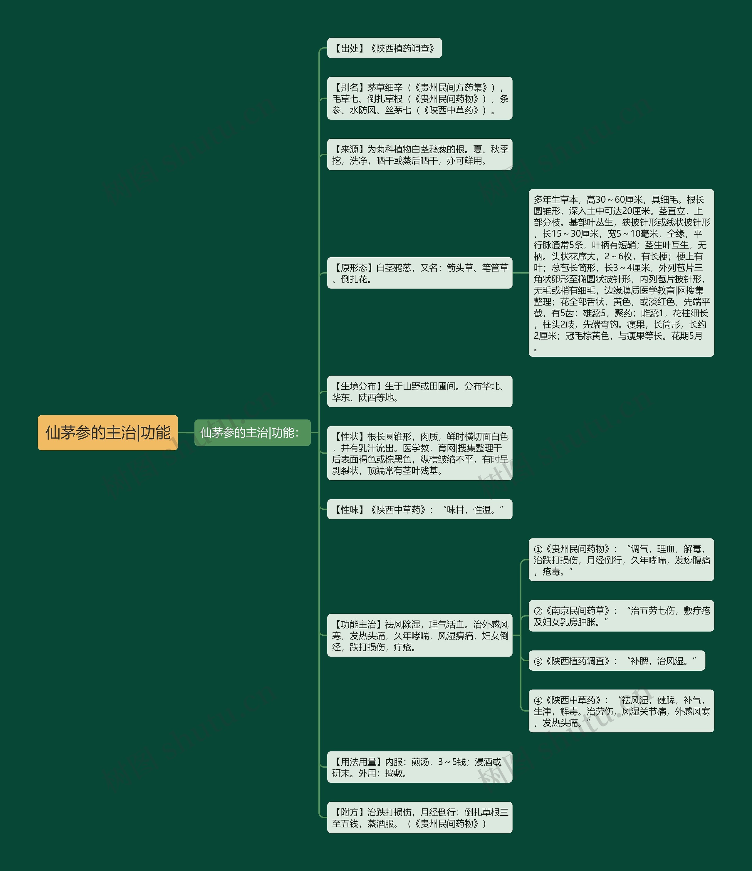 仙茅参的主治|功能思维导图