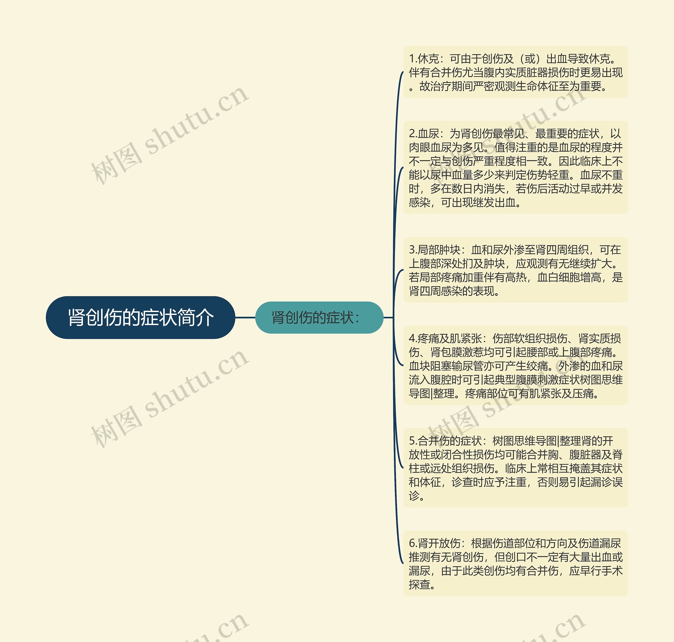 肾创伤的症状简介 肾创伤的症状简介