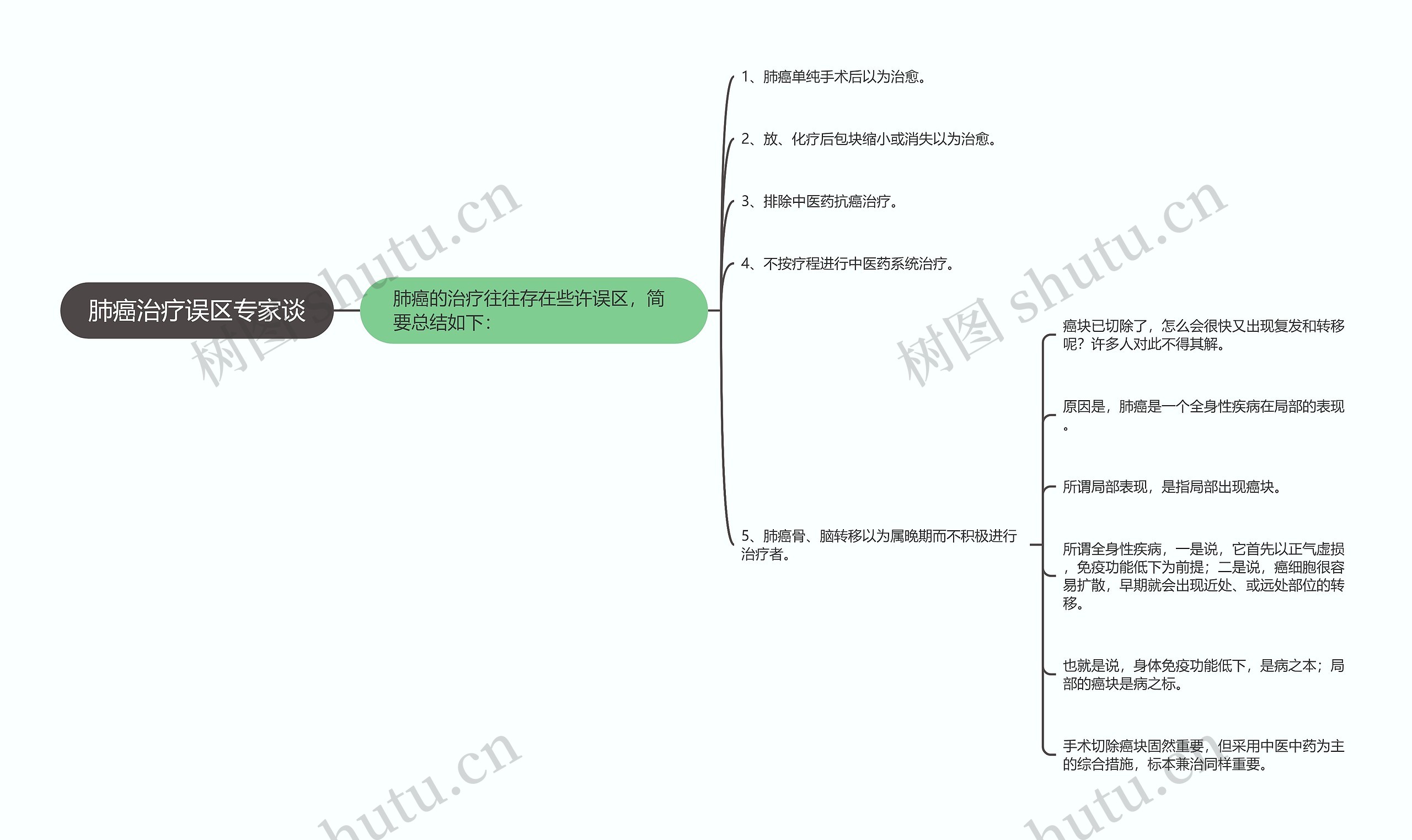 肺癌治疗误区专家谈思维导图