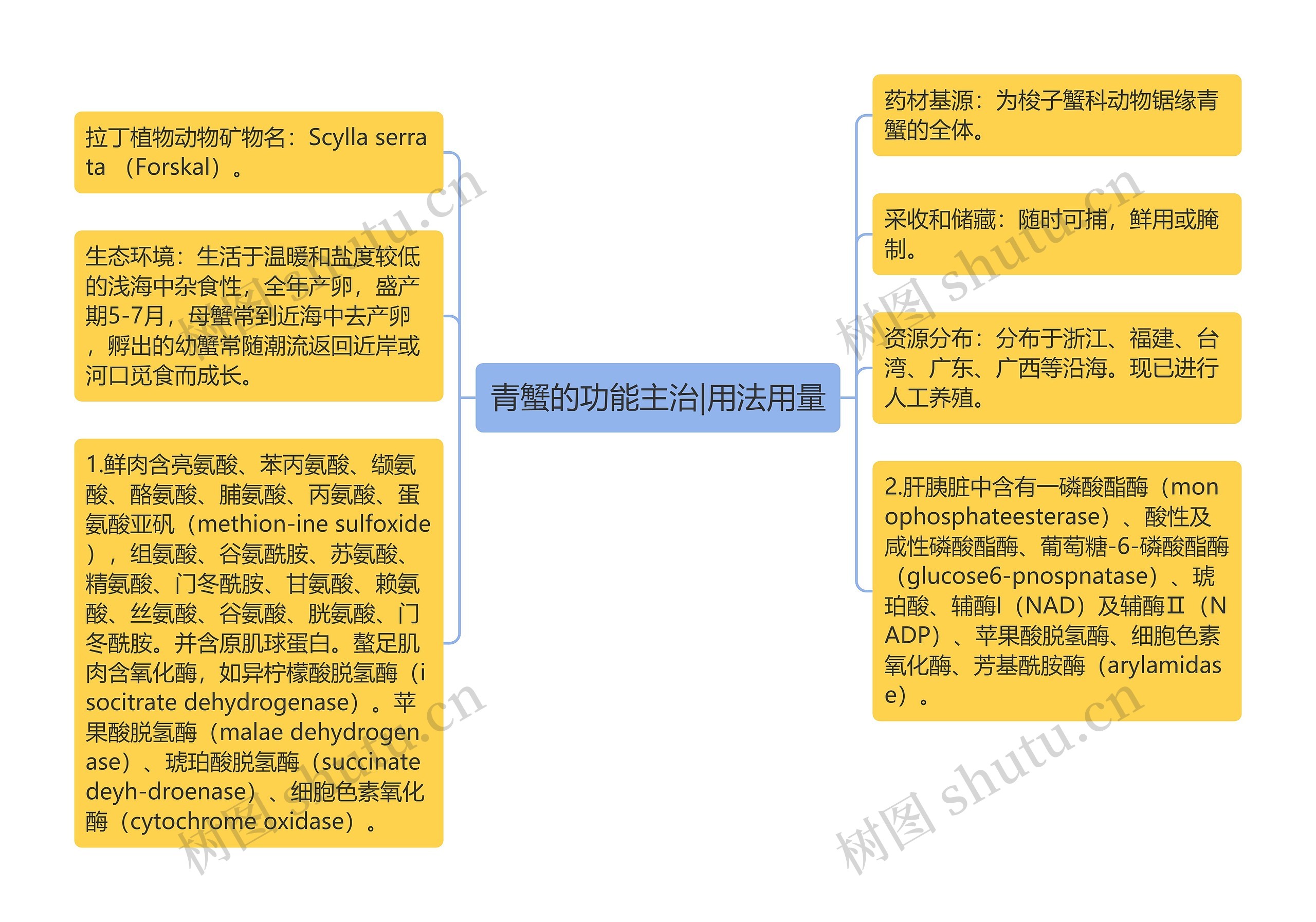 青蟹的功能主治|用法用量思维导图