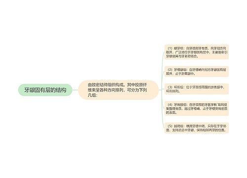 牙龈固有层的结构