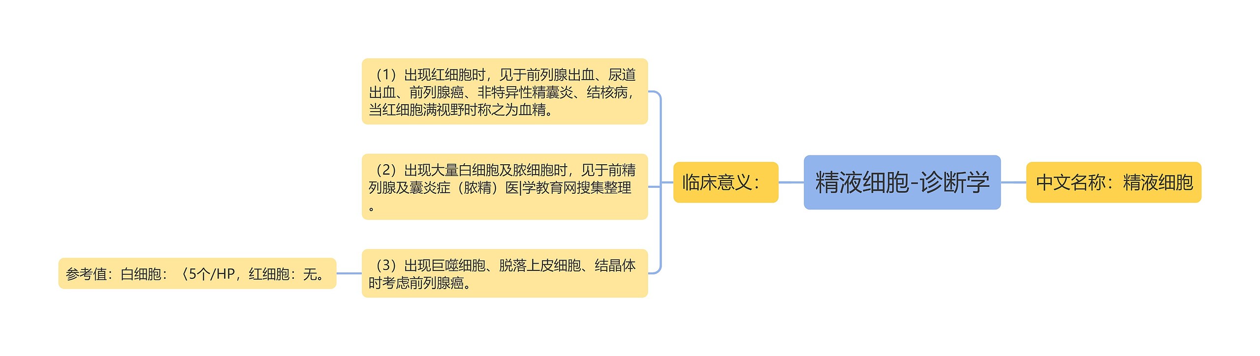 精液细胞-诊断学 精液细胞-诊断学