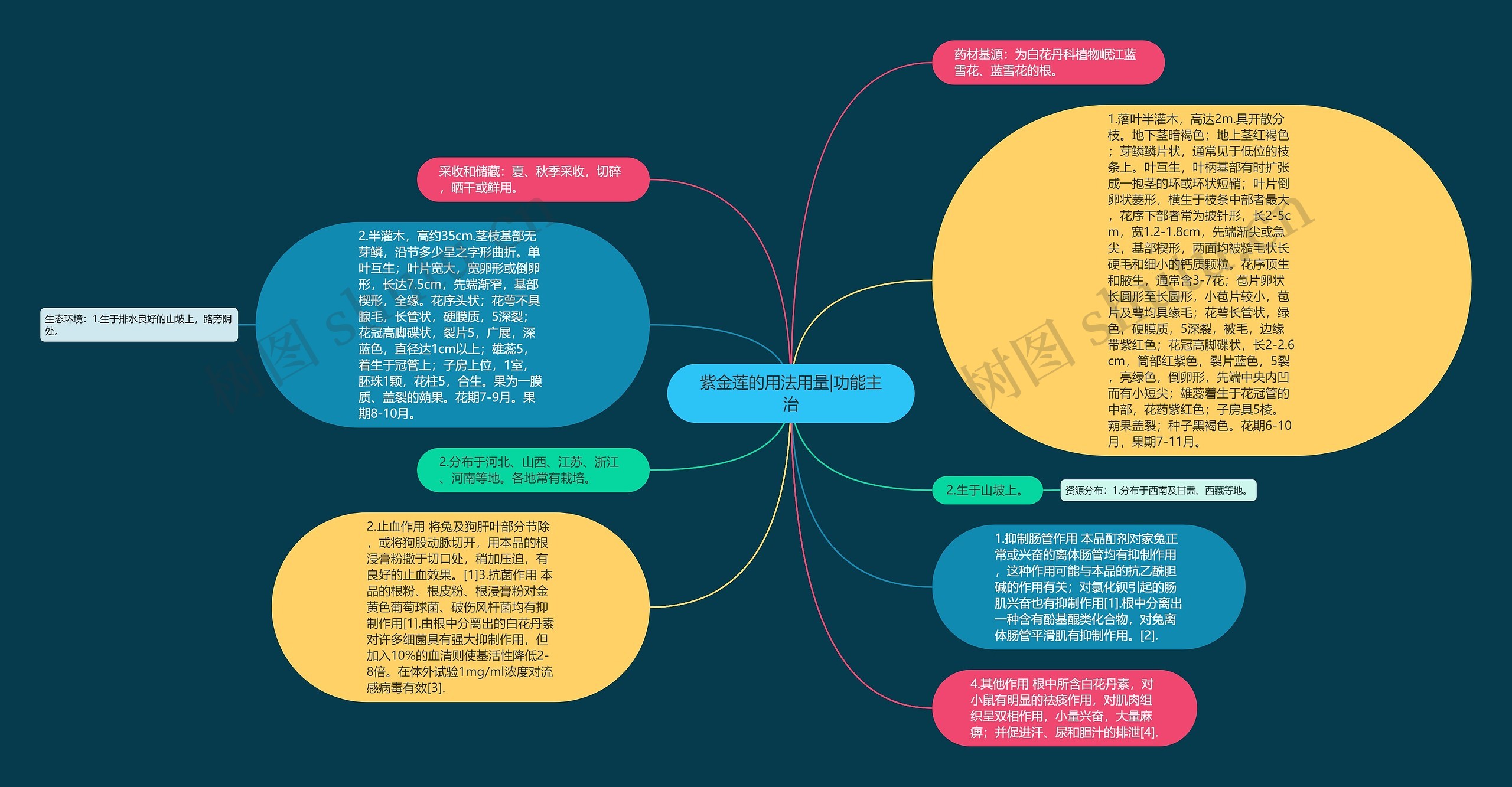 紫金莲的用法用量|功能主治思维导图