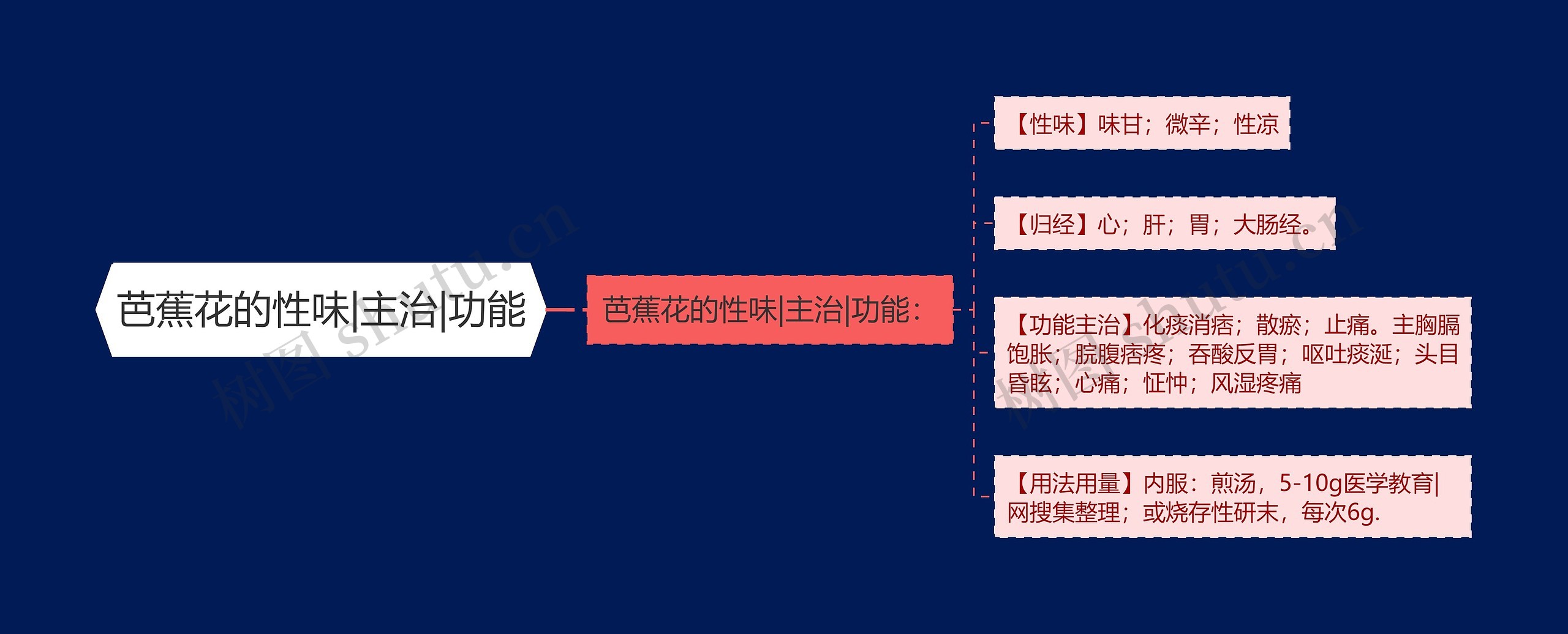 芭蕉花的性味|主治|功能思维导图